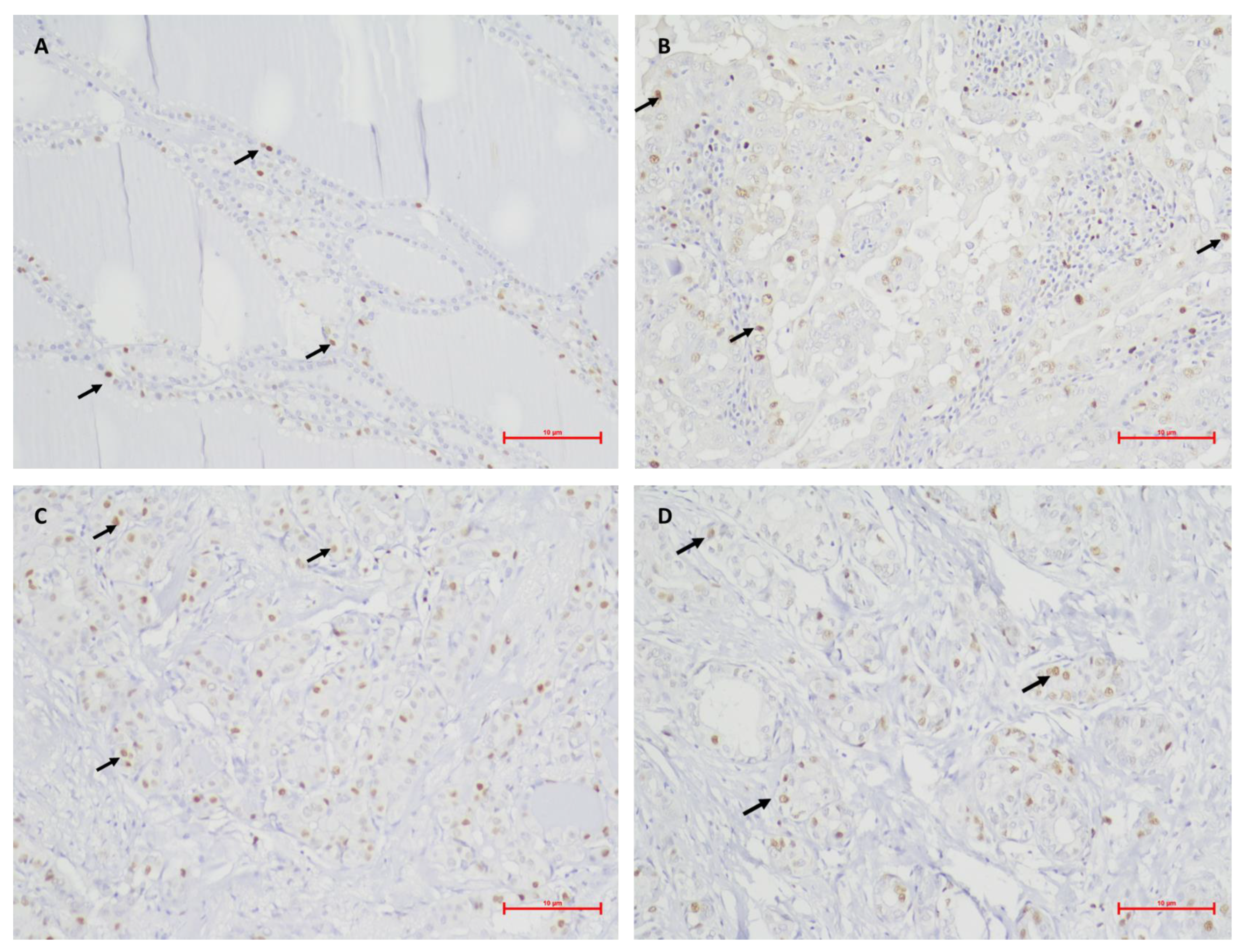 Medicina 59 00110 g001 Medicina 59 00110 g001