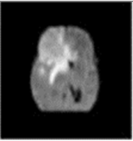 Medicina 59 00119 i001 Medicina 59 00119 i001