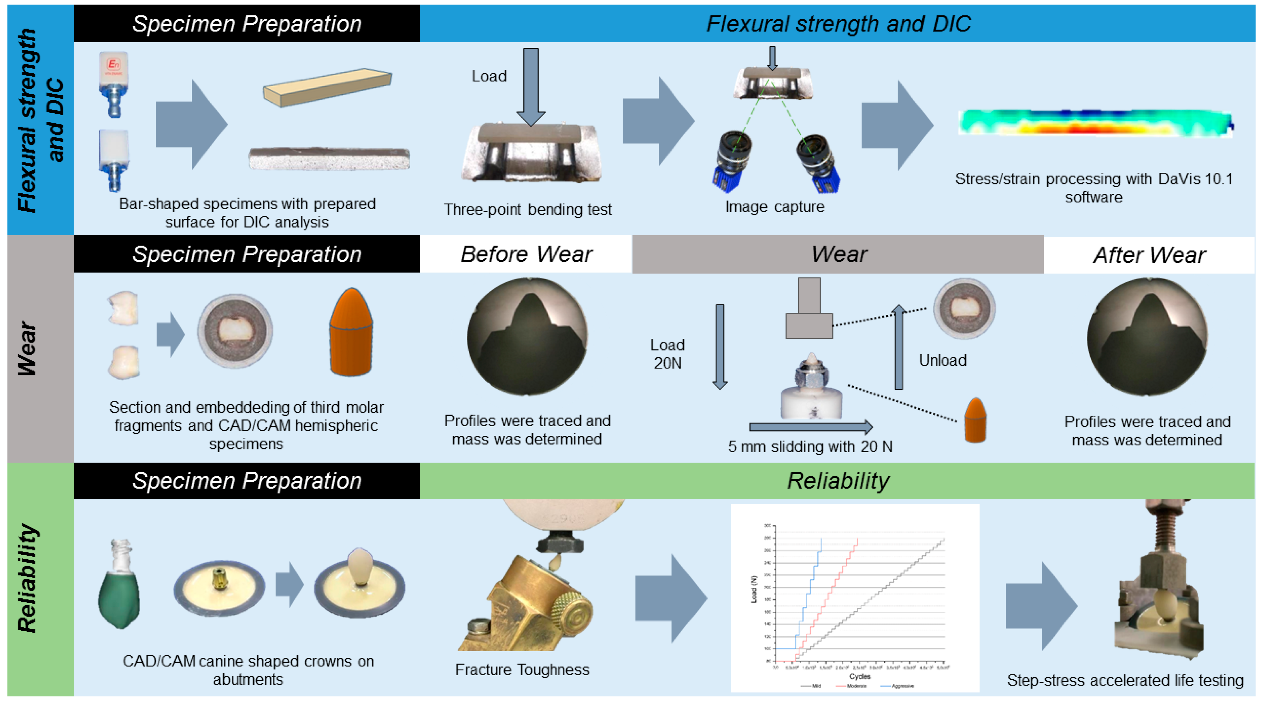 Medicina 59 00128 g001