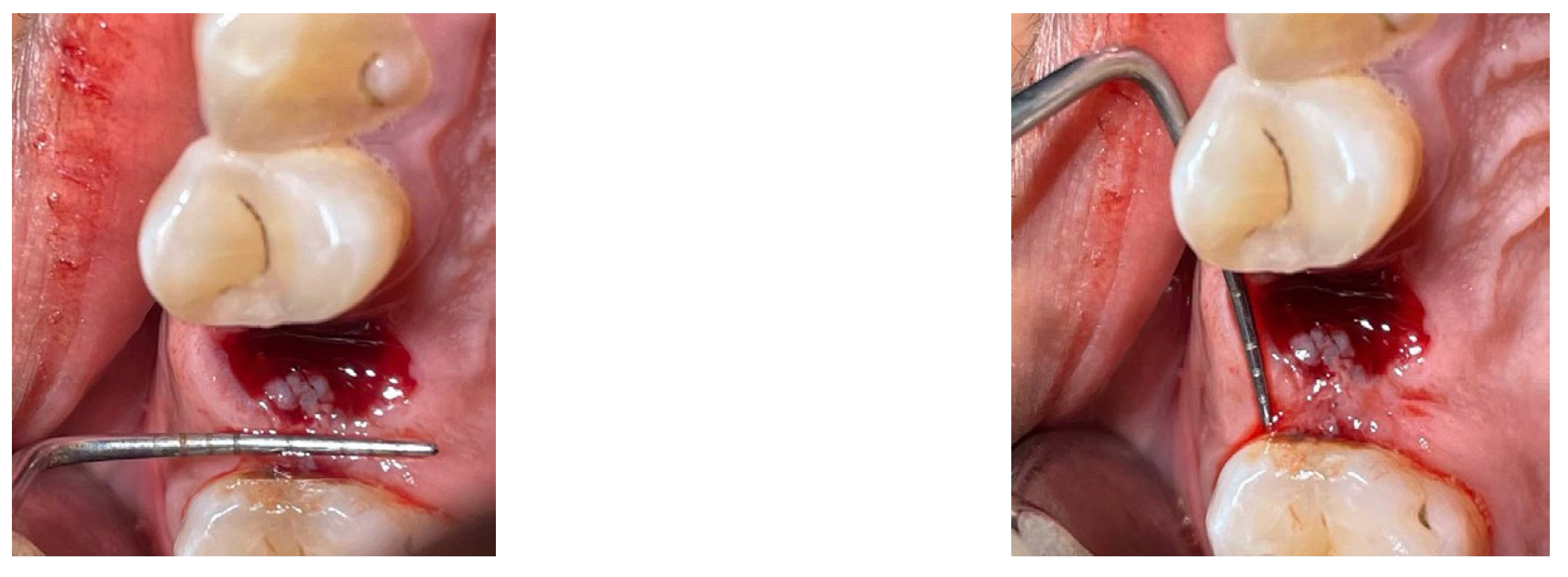 Medicina 59 00135 g001