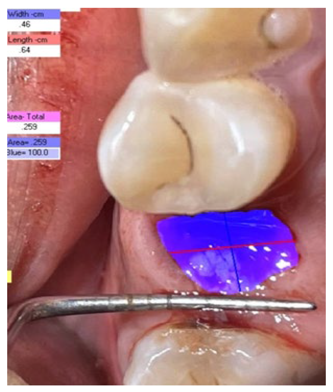 Medicina 59 00135 g002