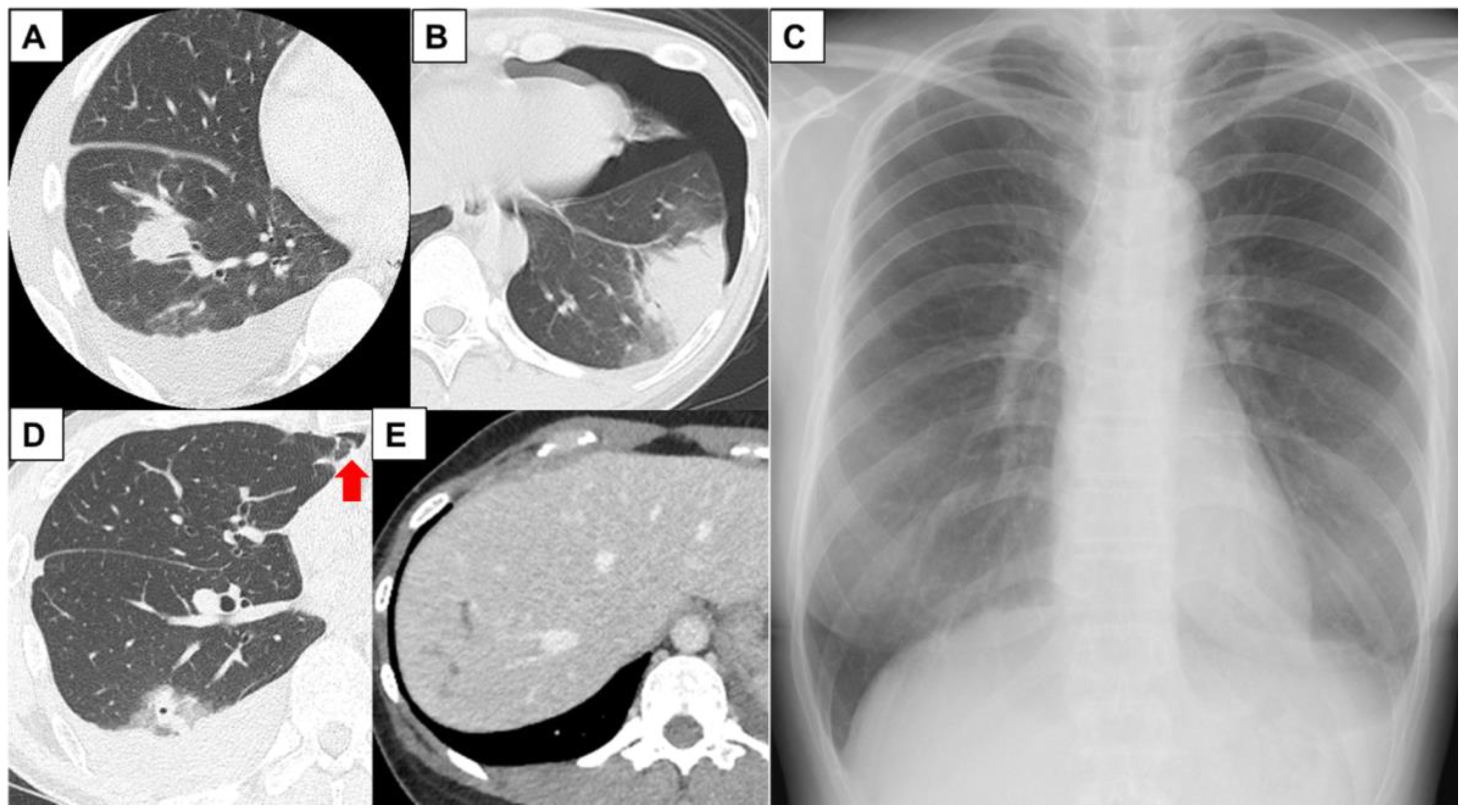 Medicina 59 00137 g001 Medicina 59 00137 g001