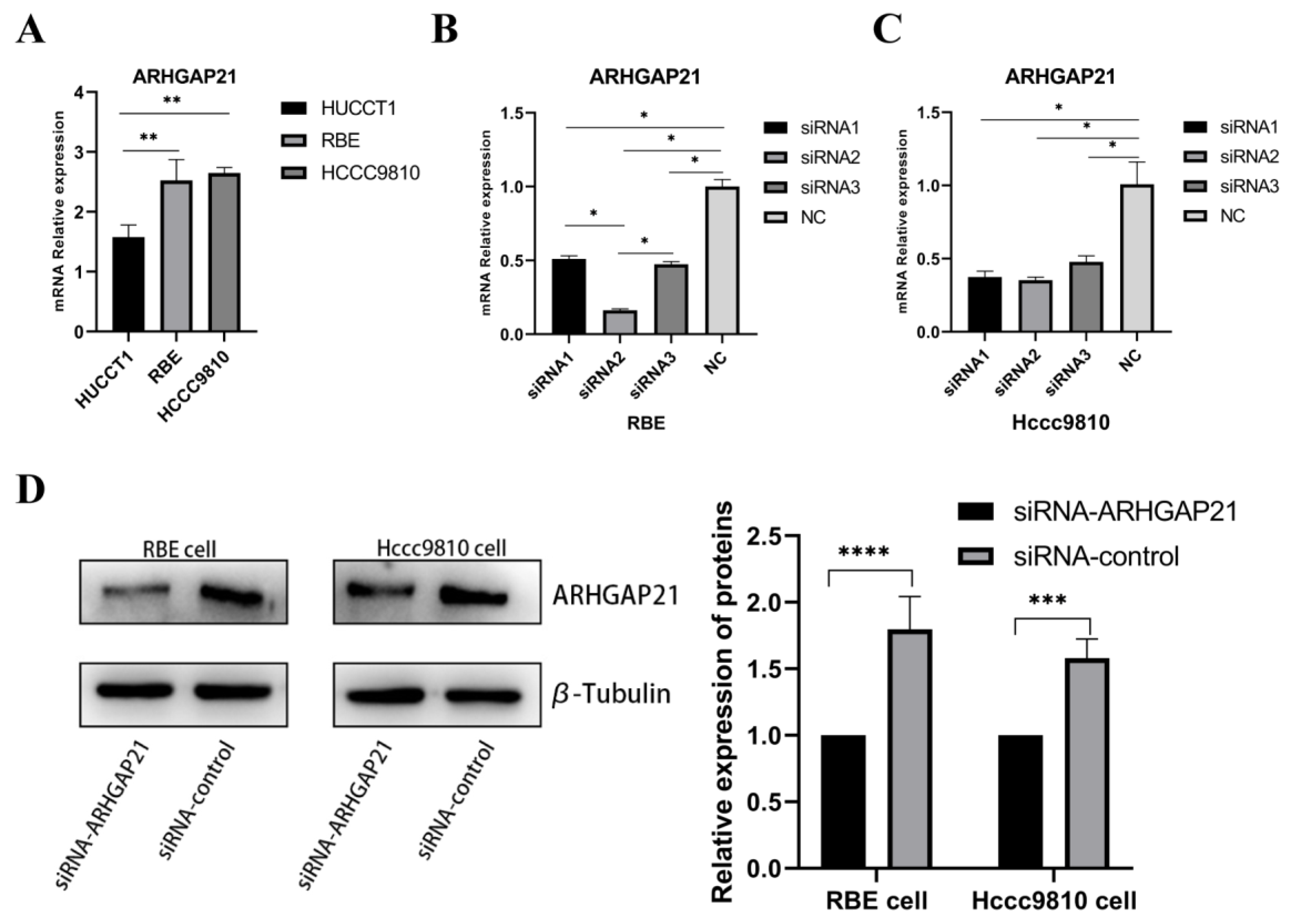 Medicina 59 00139 g004 Medicina 59 00139 g004