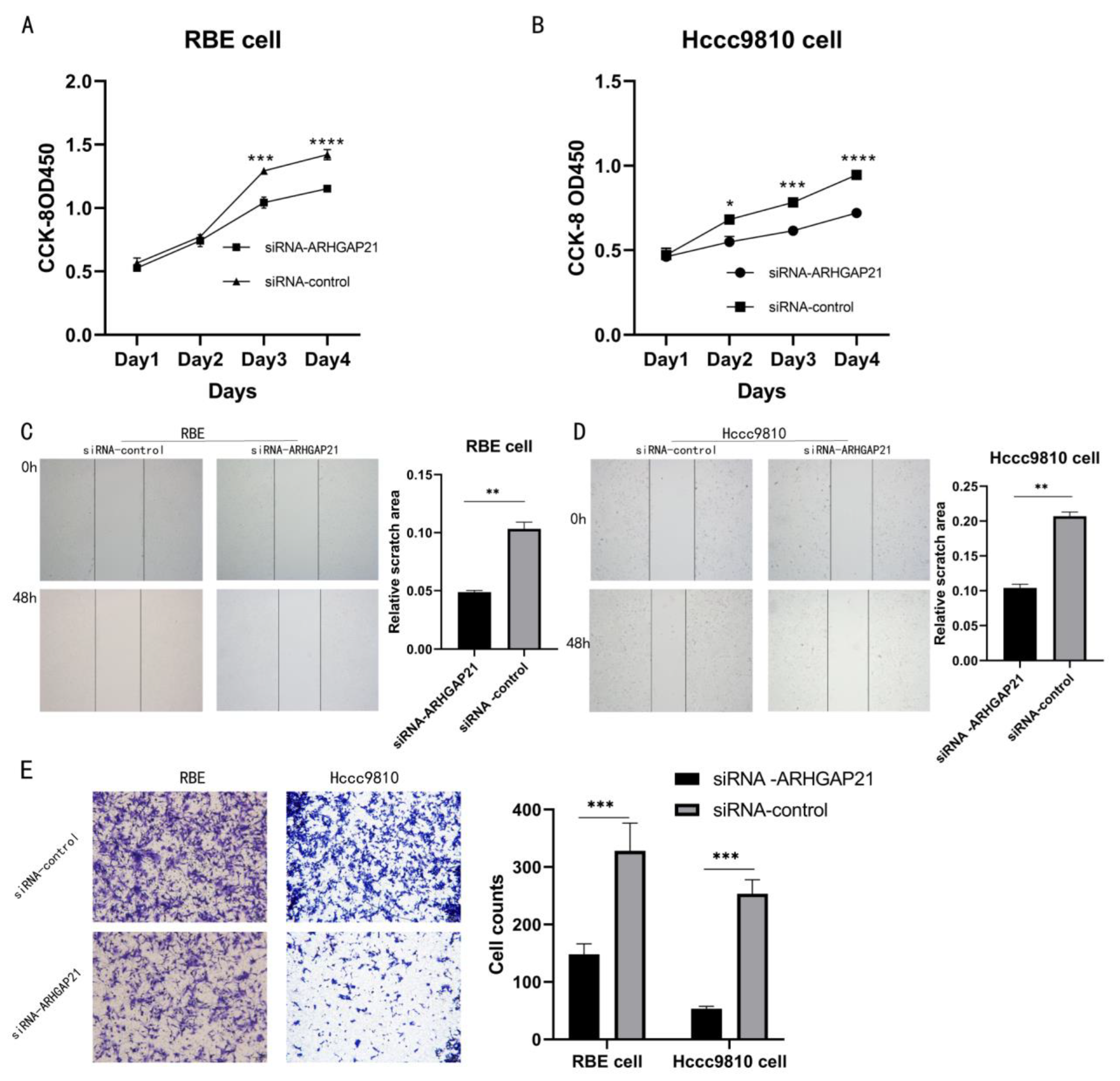 Medicina 59 00139 g005 Medicina 59 00139 g005