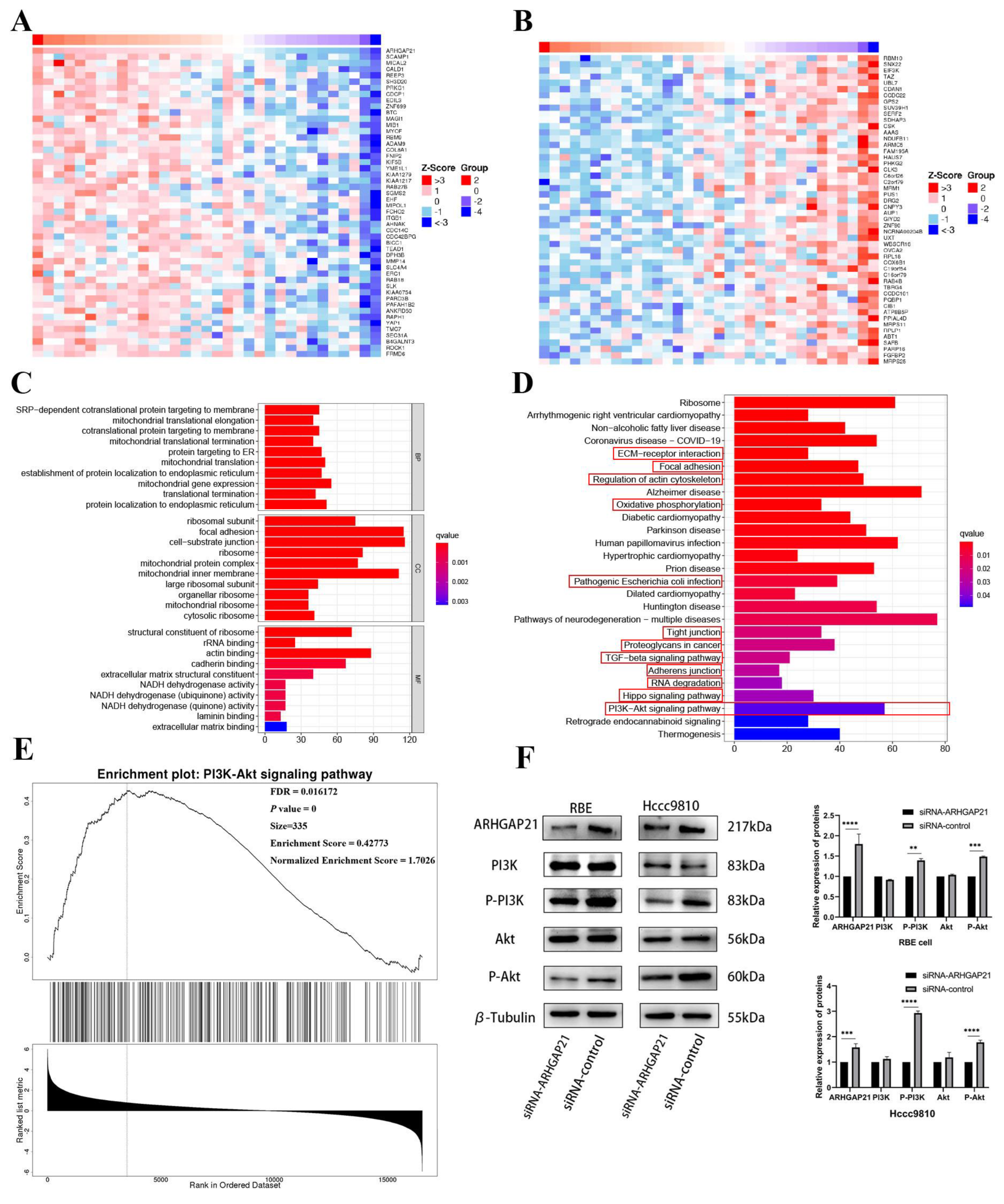 Medicina 59 00139 g006 Medicina 59 00139 g006