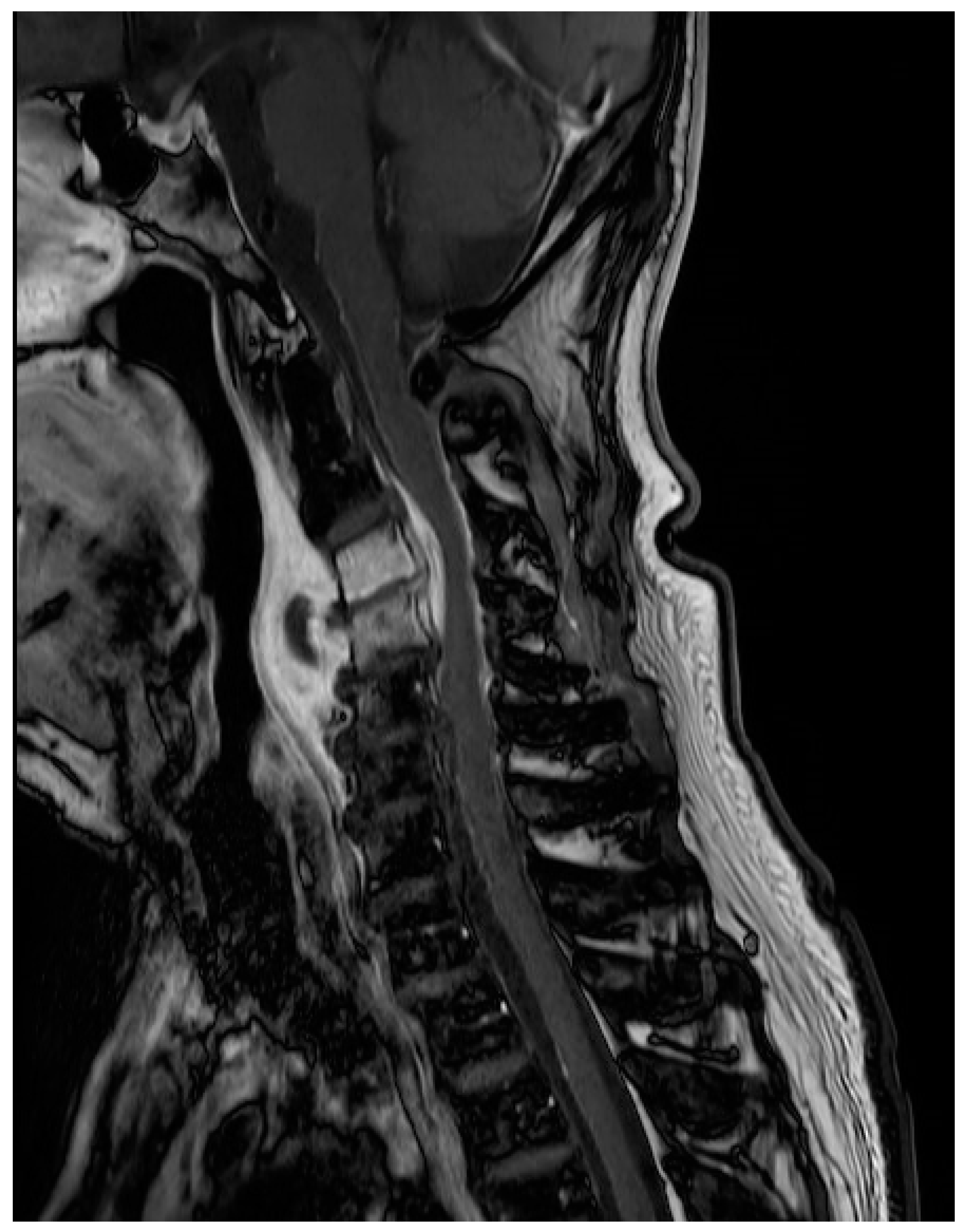 Medicina 59 00145 g001