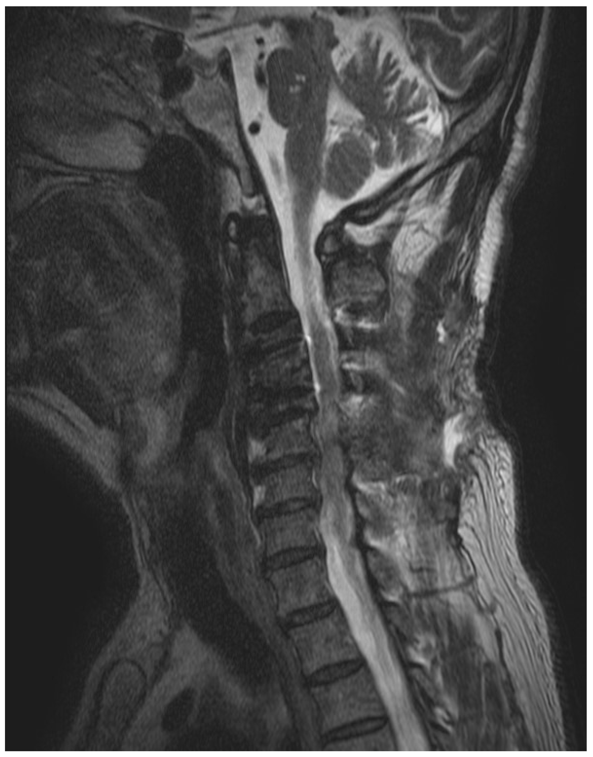 Medicina 59 00145 g002