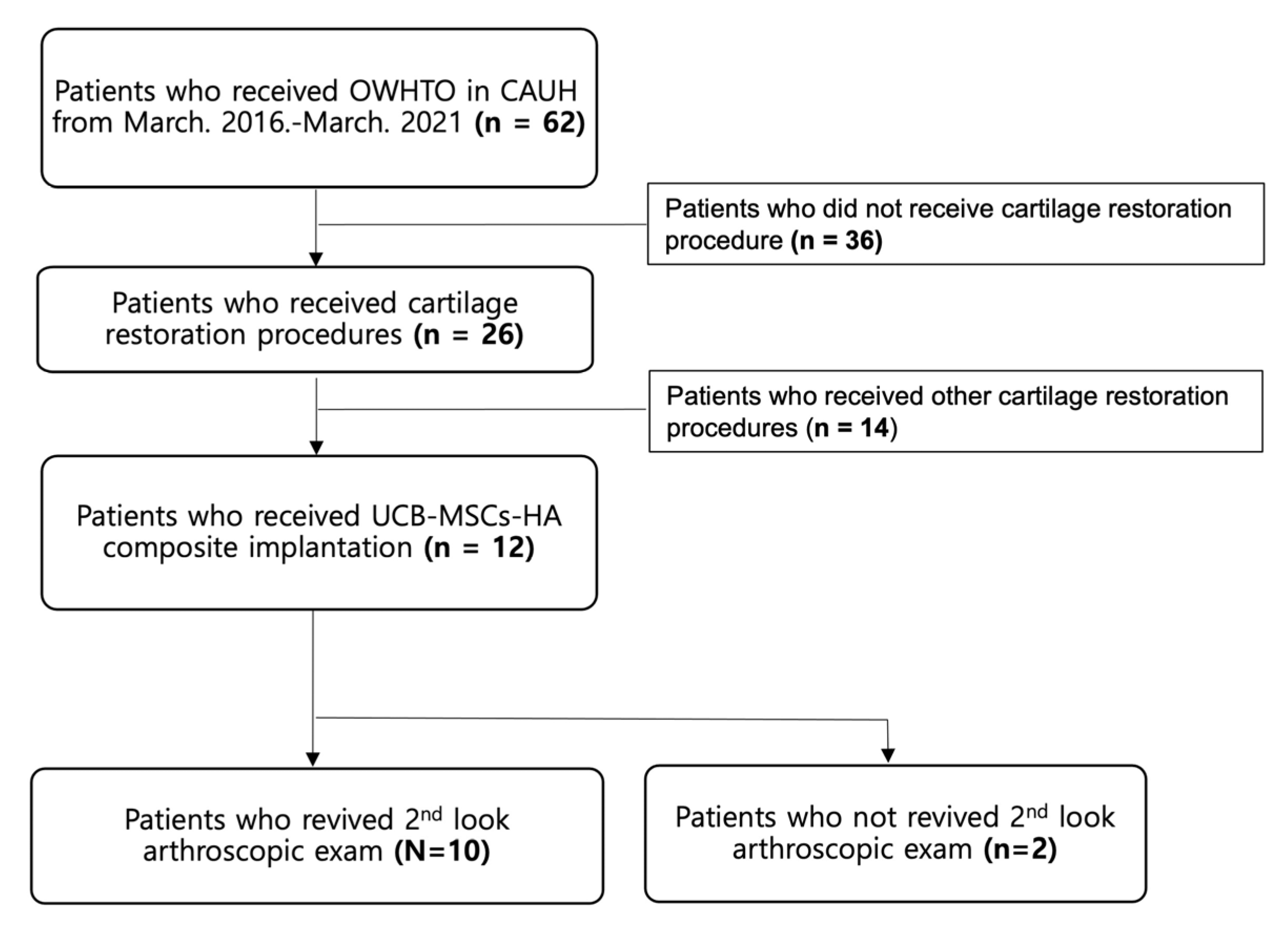 Medicina 59 00148 g001