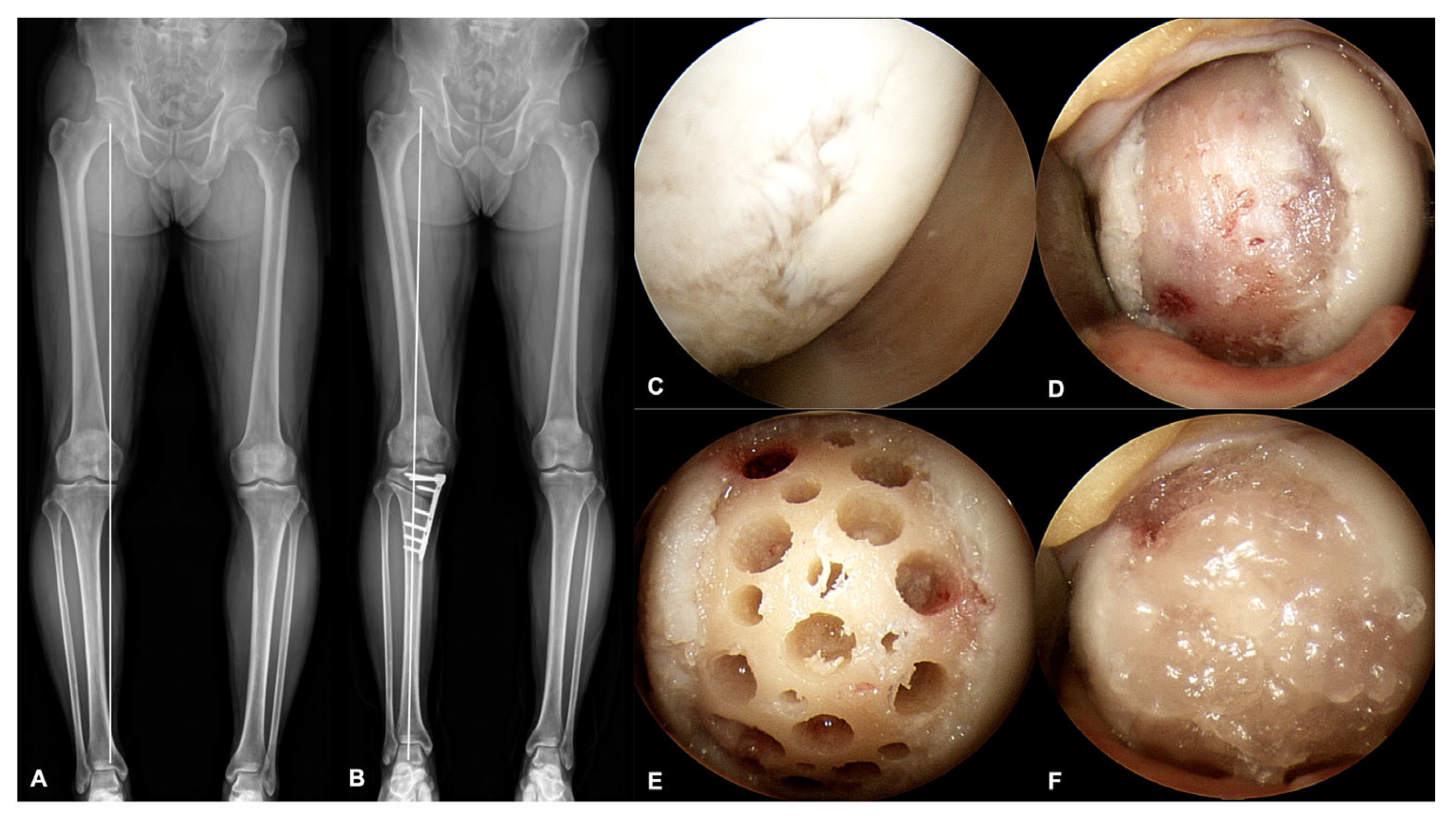 Medicina 59 00148 g002
