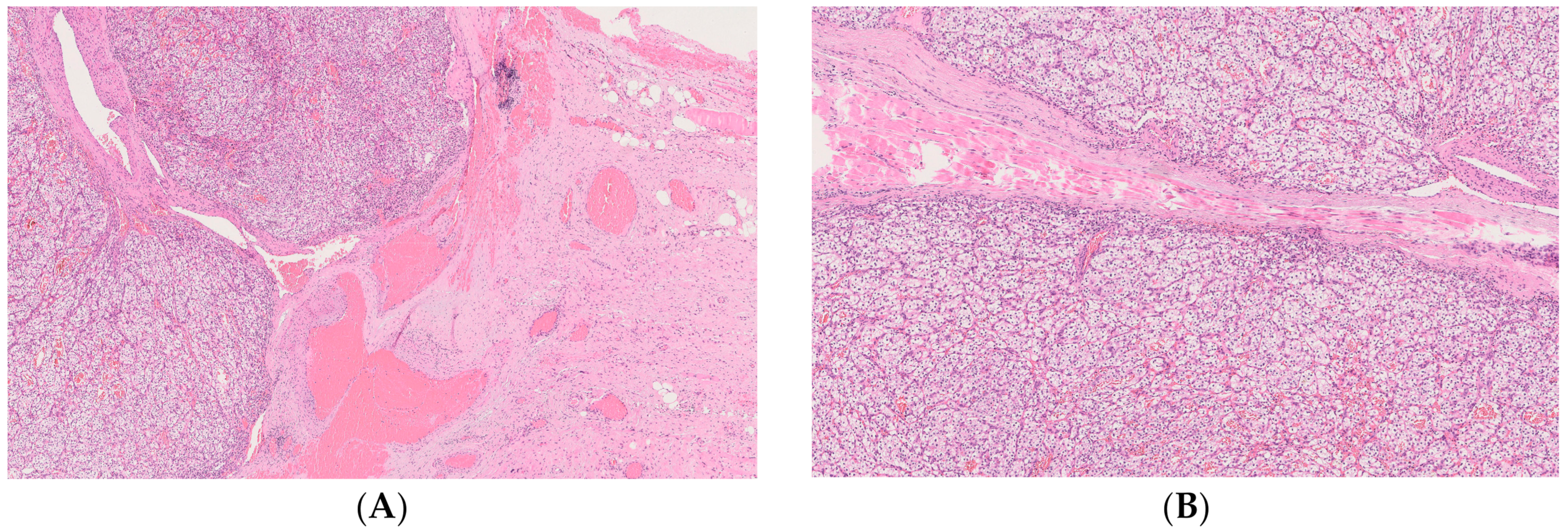 Medicina 59 00150 g002a Medicina 59 00150 g002a