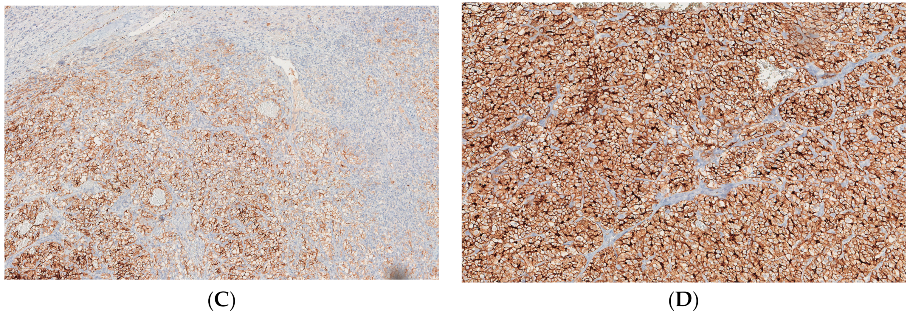 Medicina 59 00150 g002b Medicina 59 00150 g002b