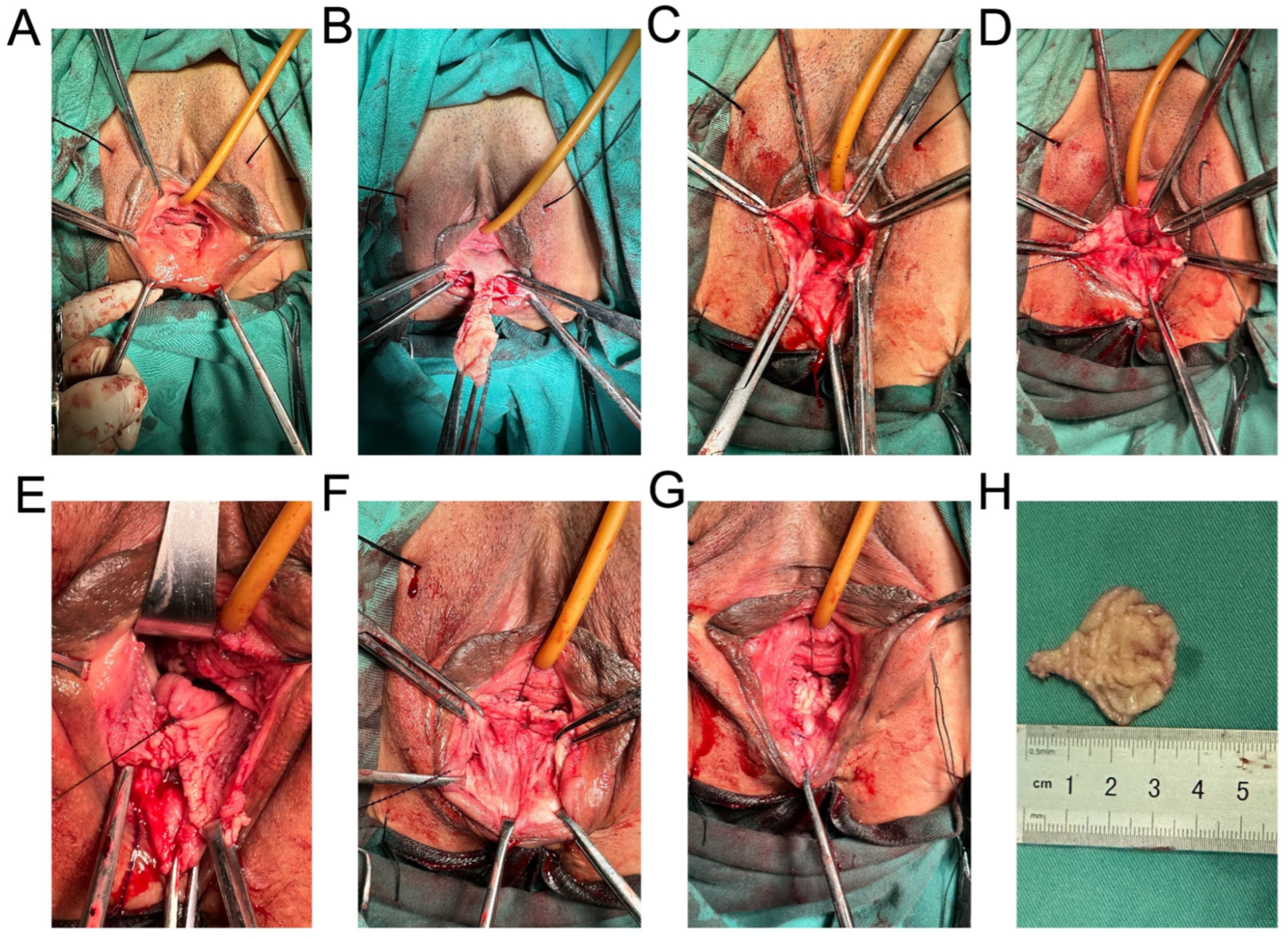 Medicina 59 00155 g001 550