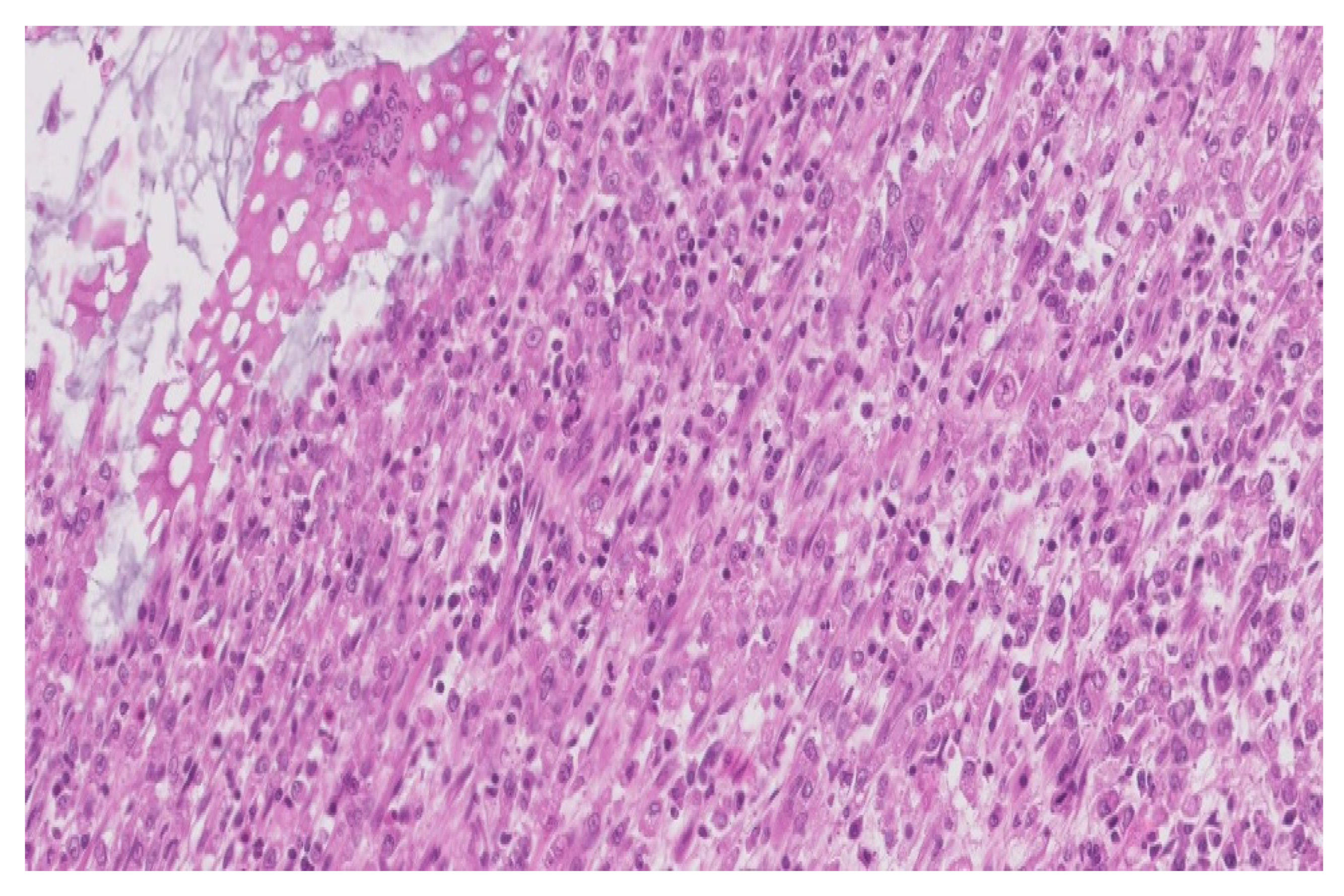 Medicina 59 00156 g003