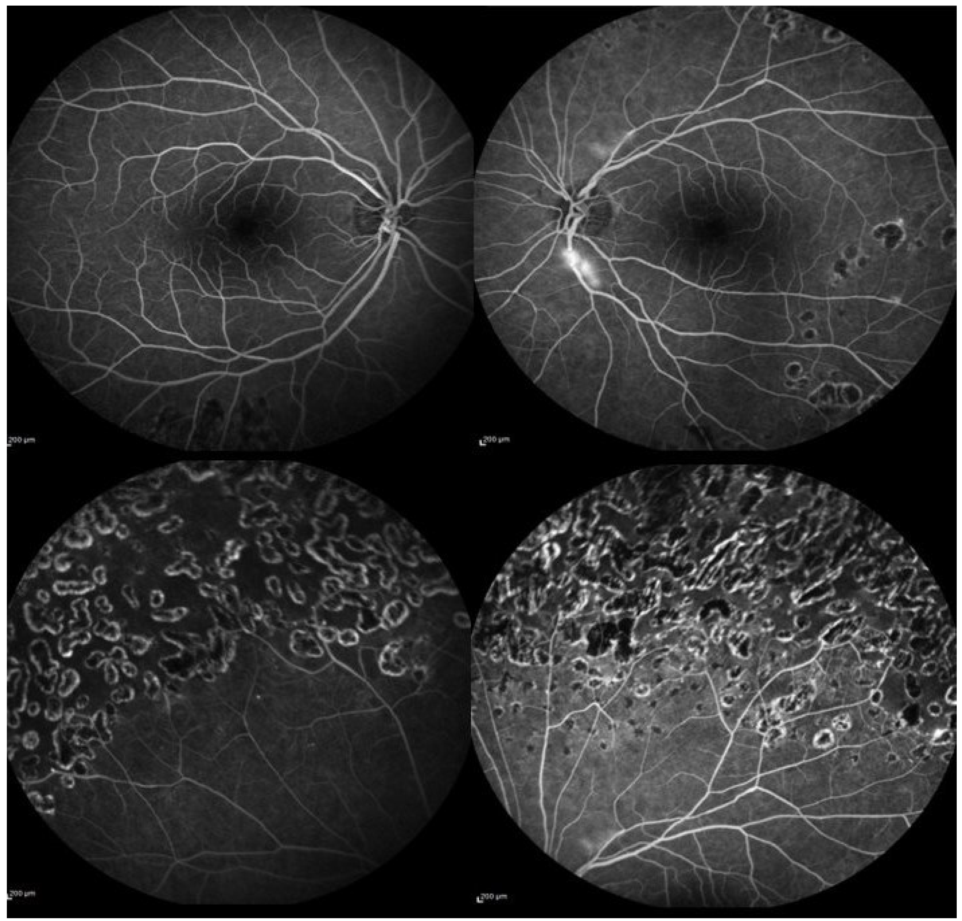 Medicina 59 00169 g002 Medicina 59 00169 g002