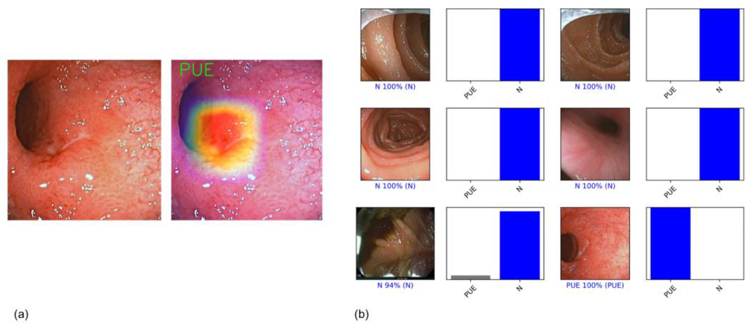 Medicina 59 00172 g002