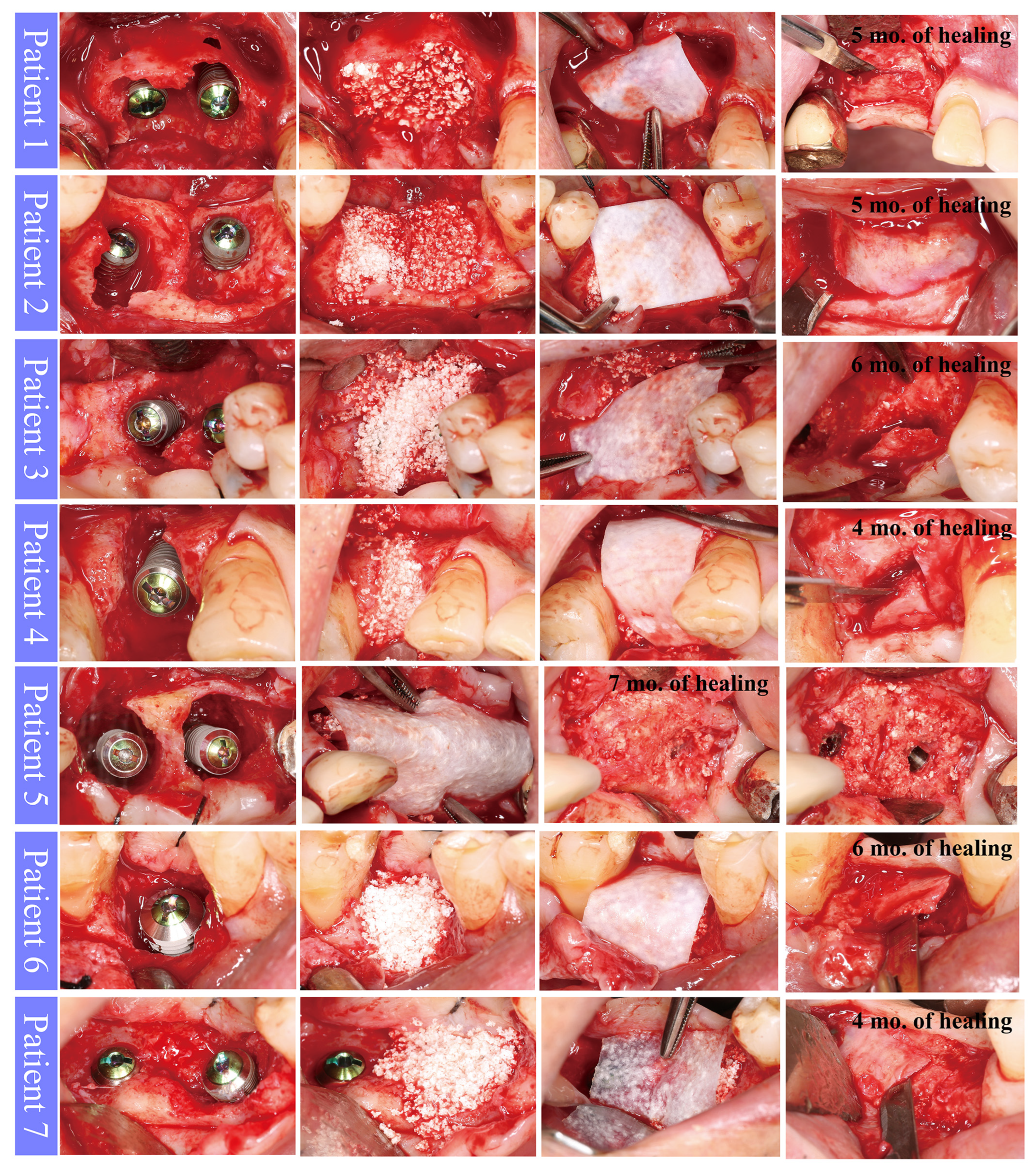 Medicina 59 00176 g001 Medicina 59 00176 g001
