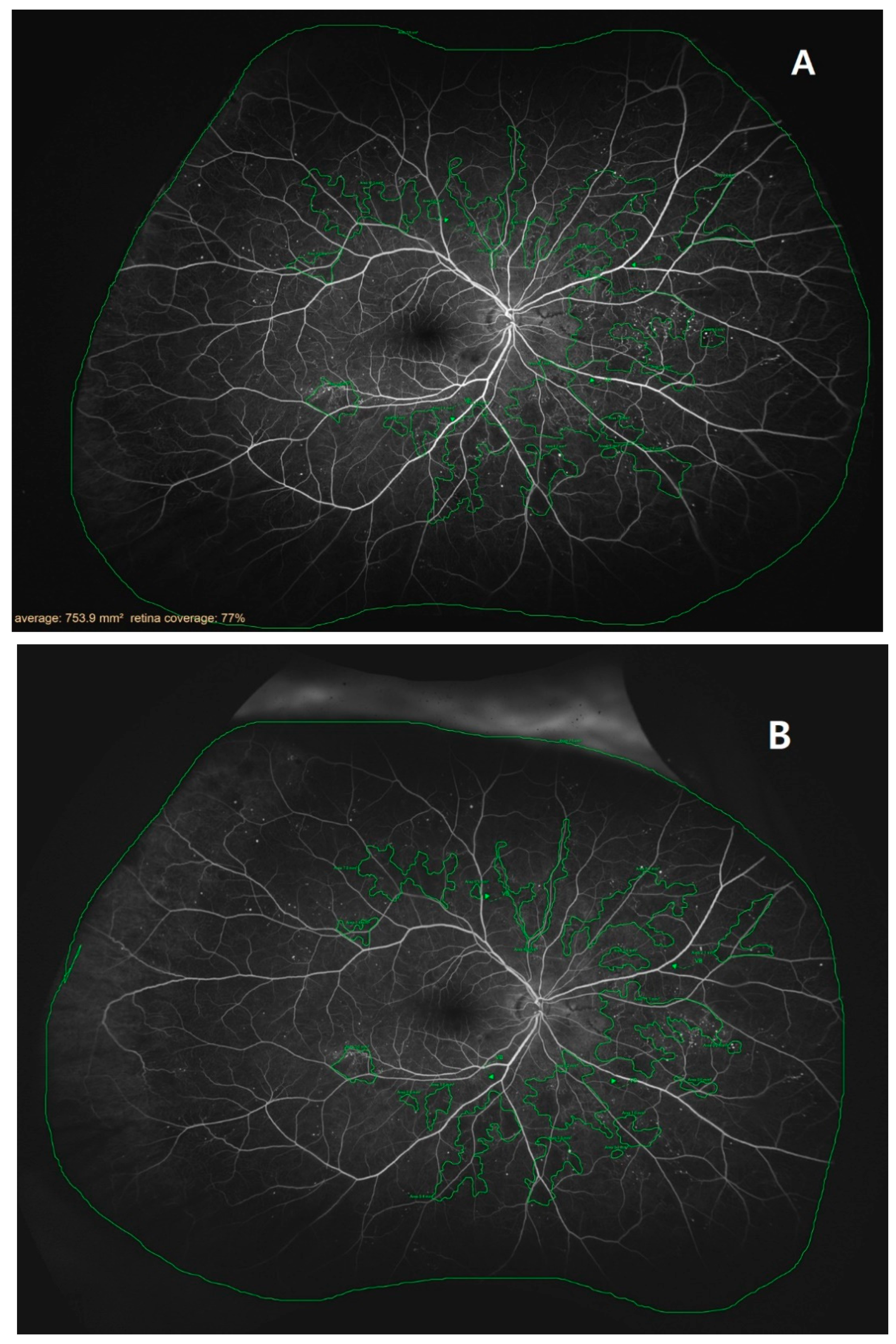 Medicina 59 00178 g001 Medicina 59 00178 g001