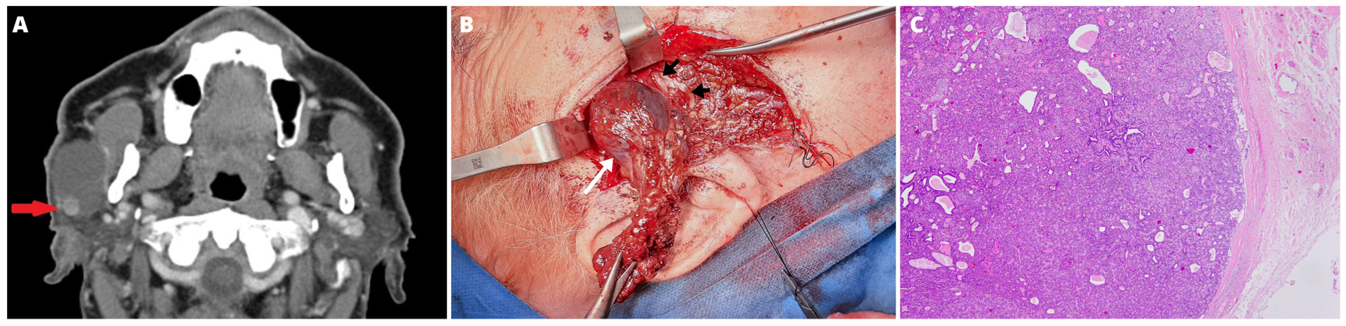 Medicina 59 00184 g001