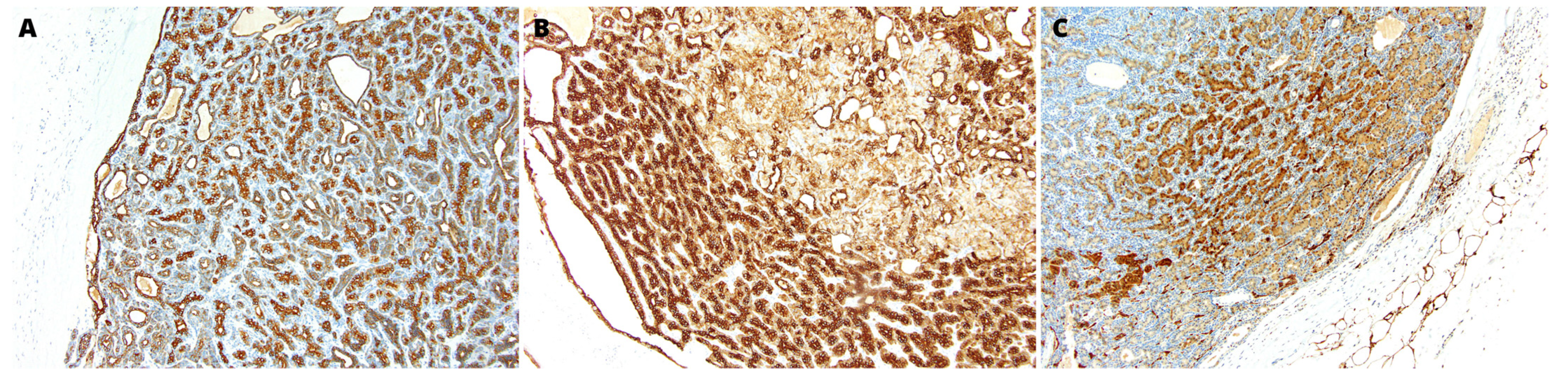 Medicina 59 00184 g002