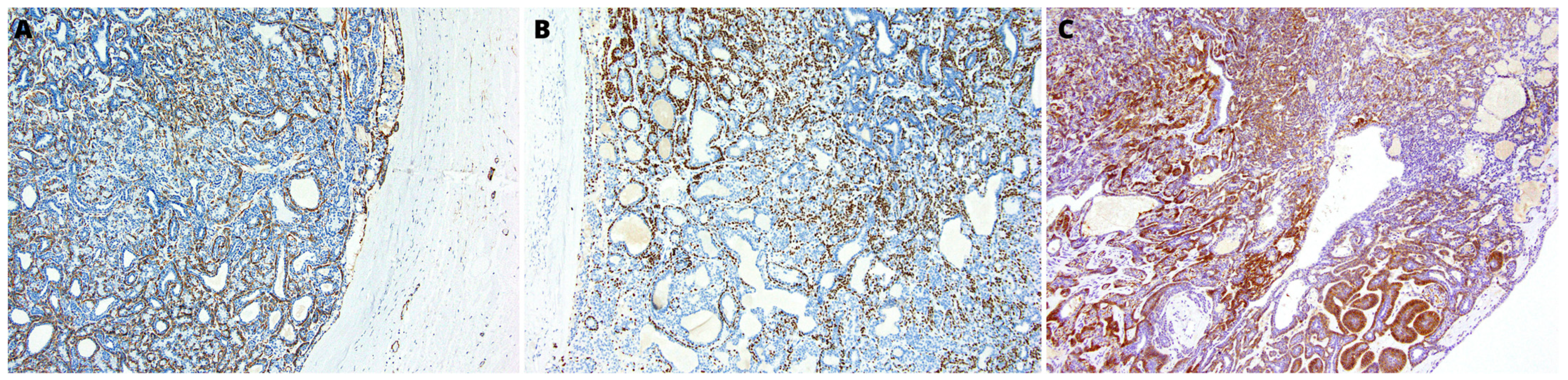 Medicina 59 00184 g003