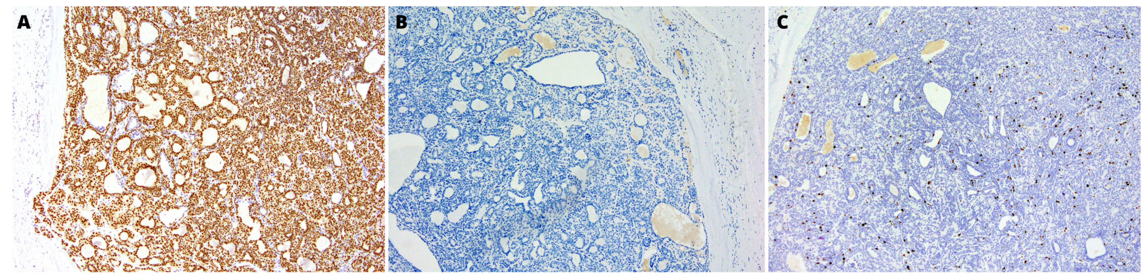 Medicina 59 00184 g004