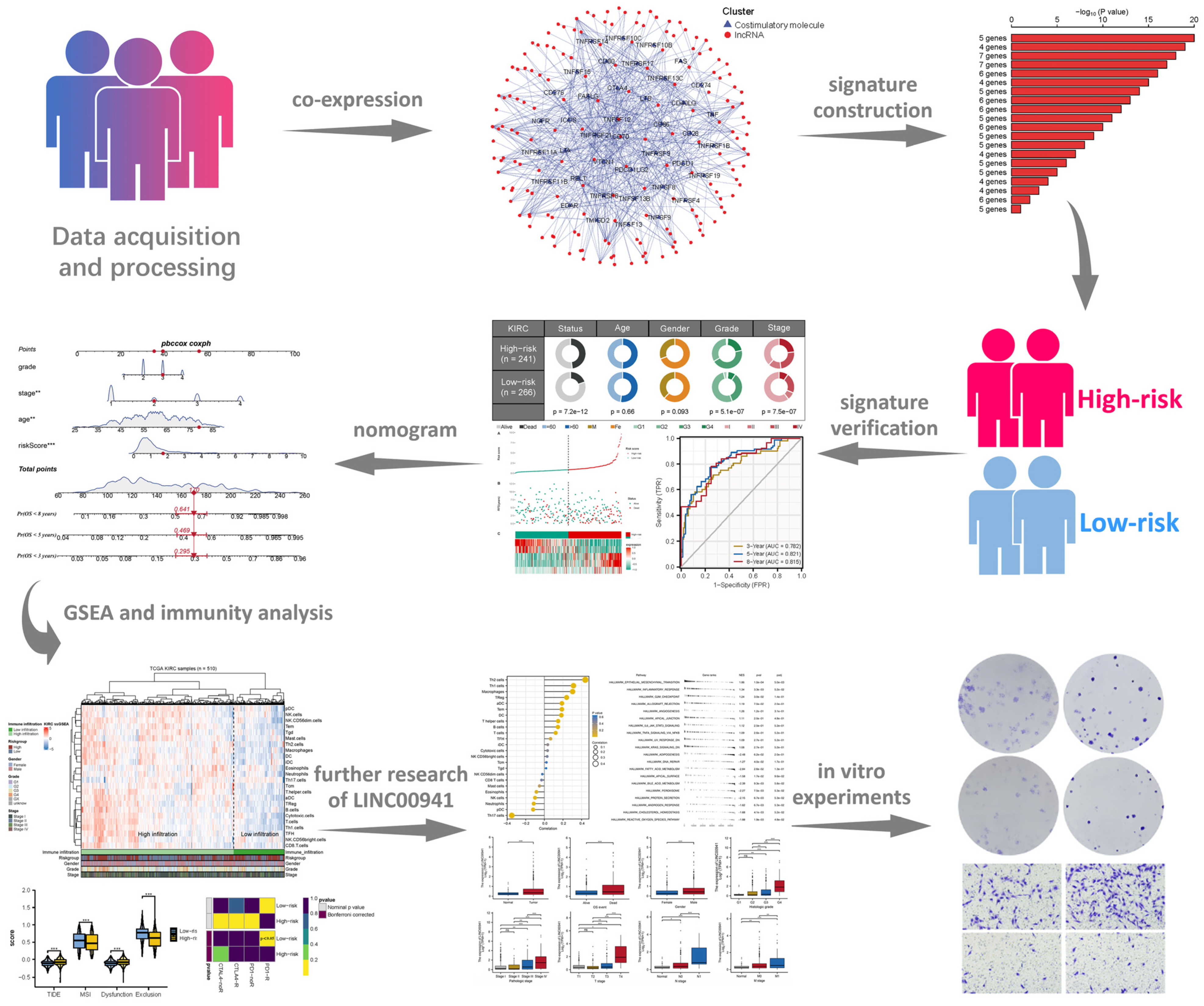 Medicina 59 00187 g001