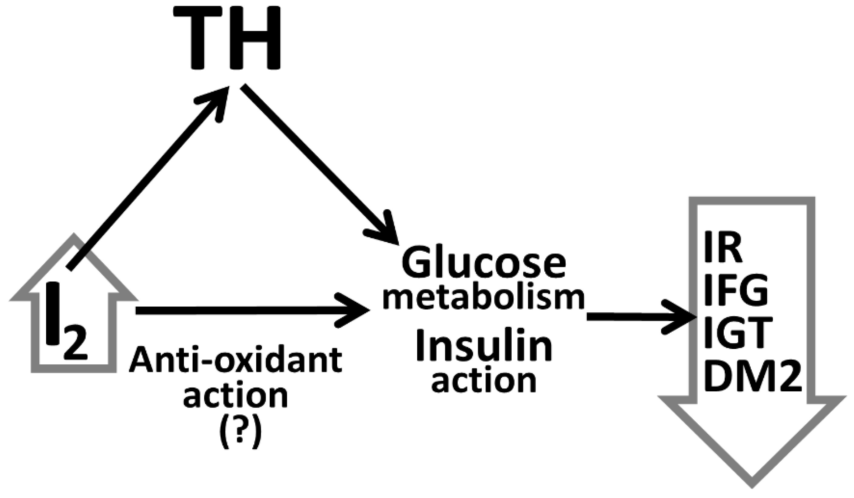 Medicina 59 00189 g001 Medicina 59 00189 g001