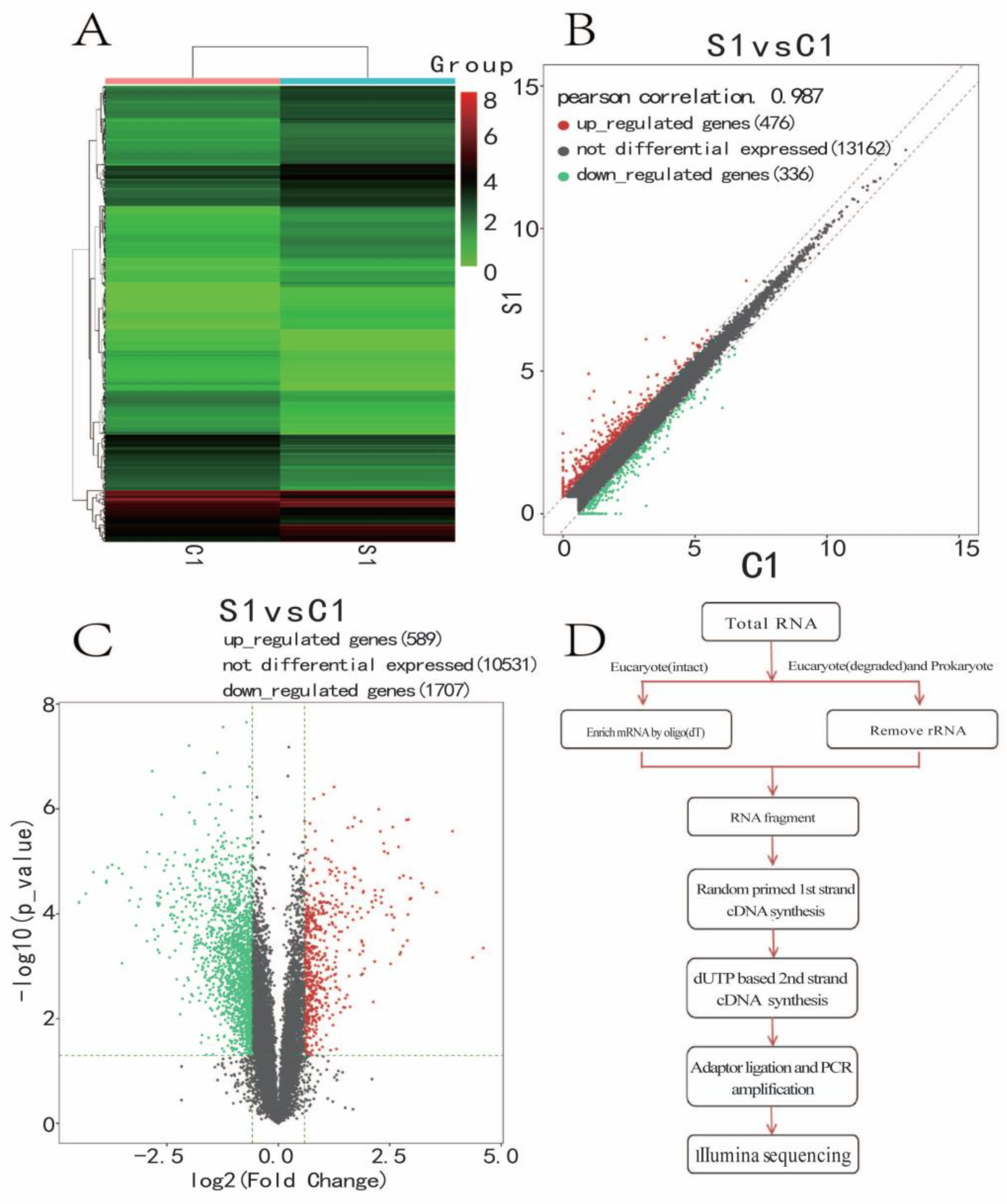 Medicina 59 00190 g005