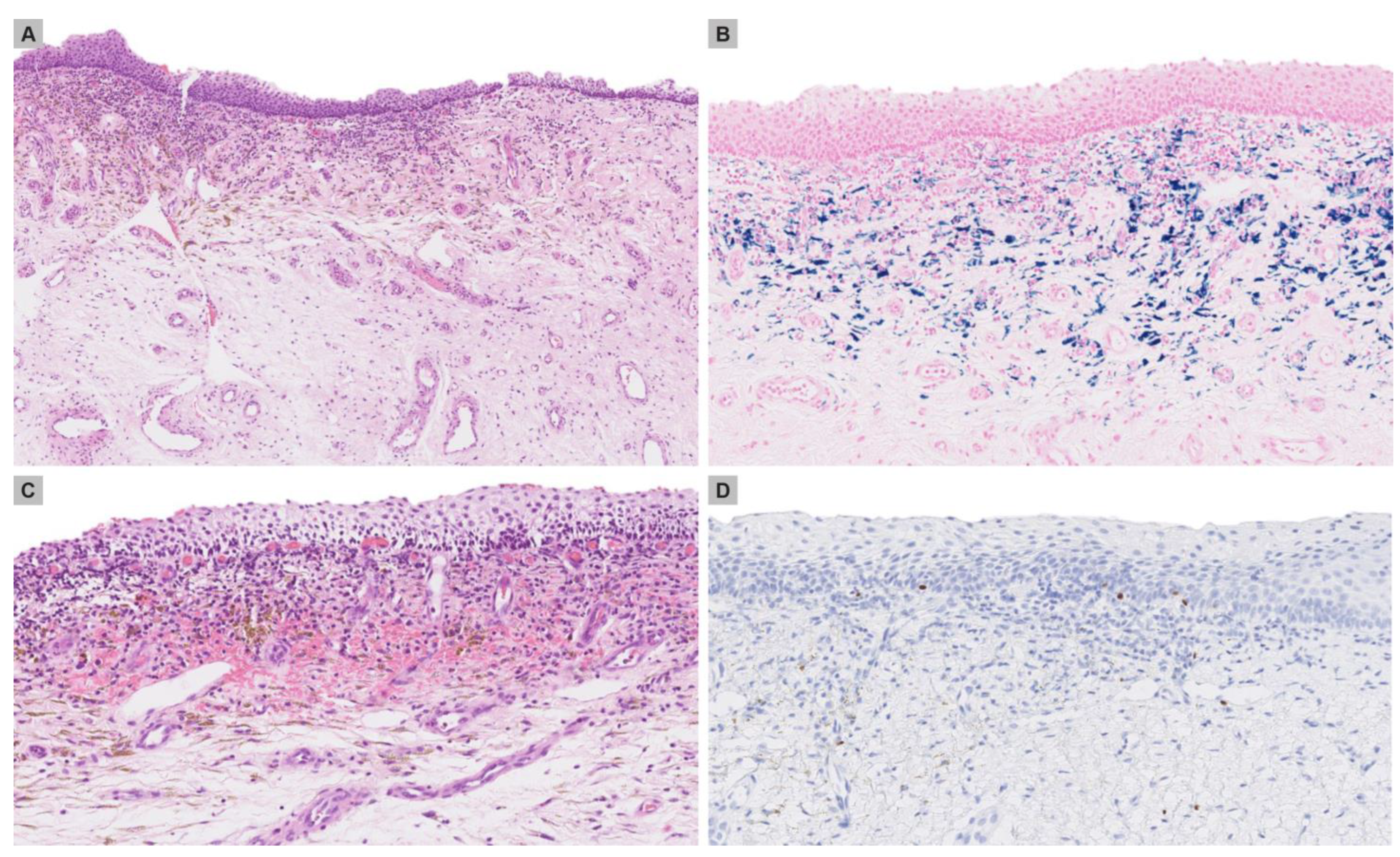 Medicina 59 00206 g002 Medicina 59 00206 g002
