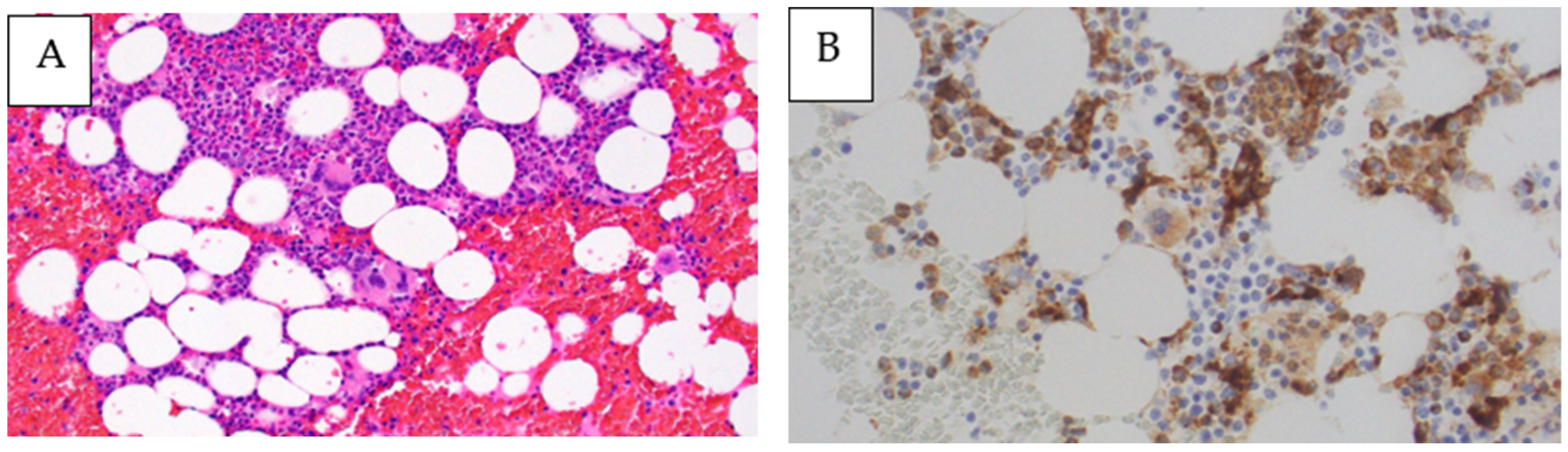 Medicina 59 00216 g002