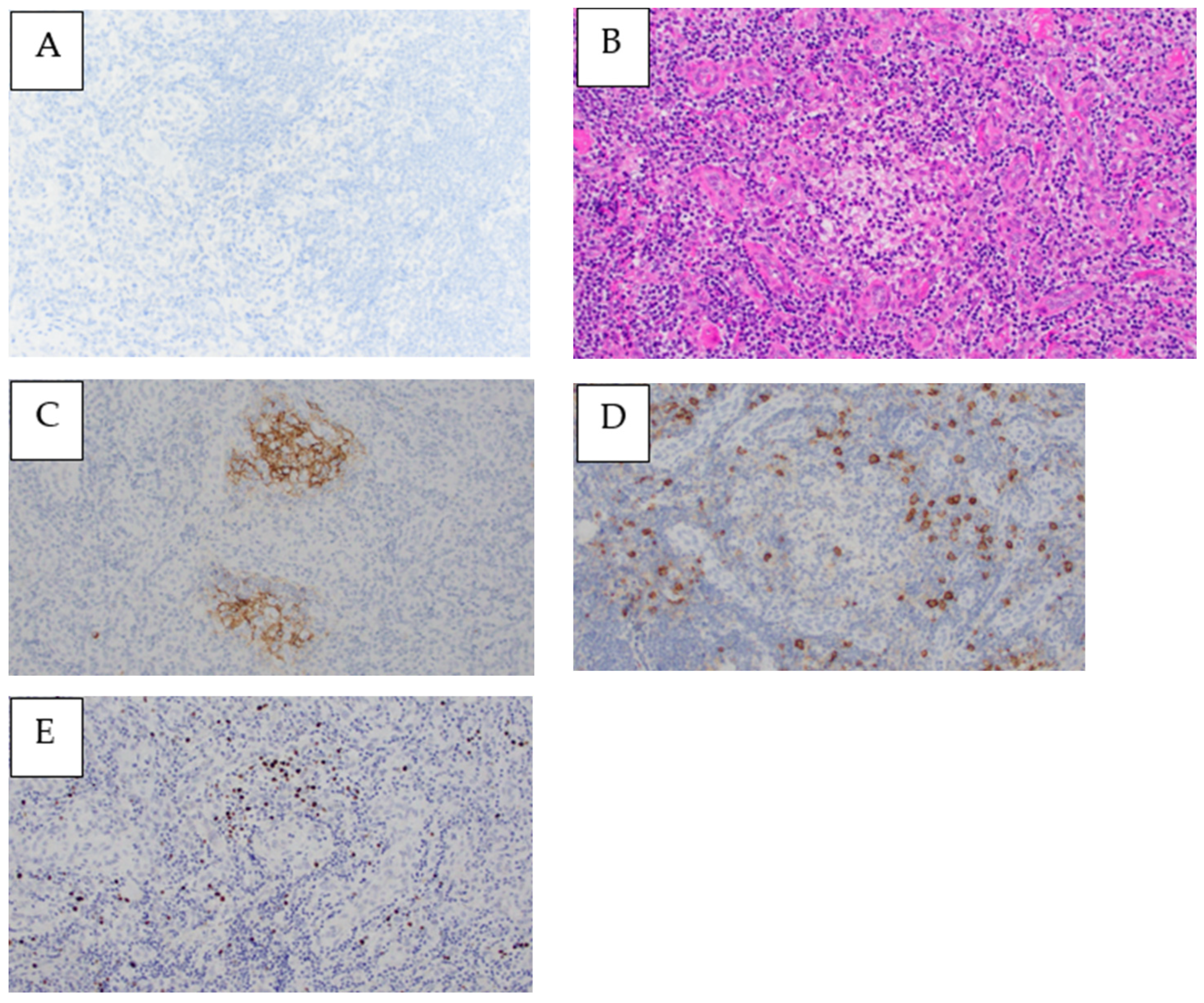 Medicina 59 00216 g004