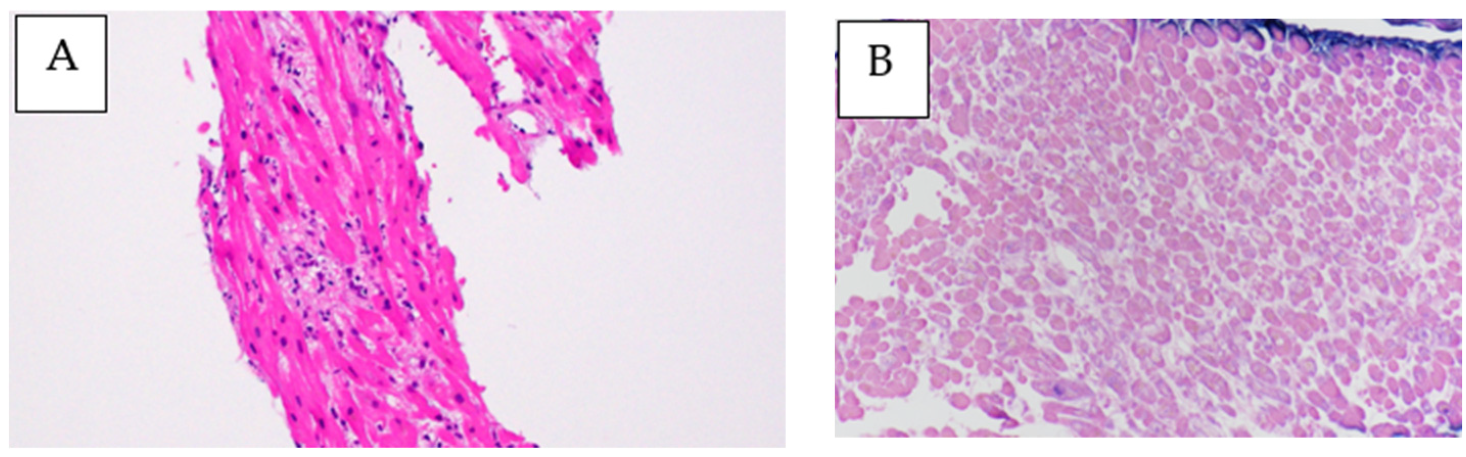 Medicina 59 00216 g005