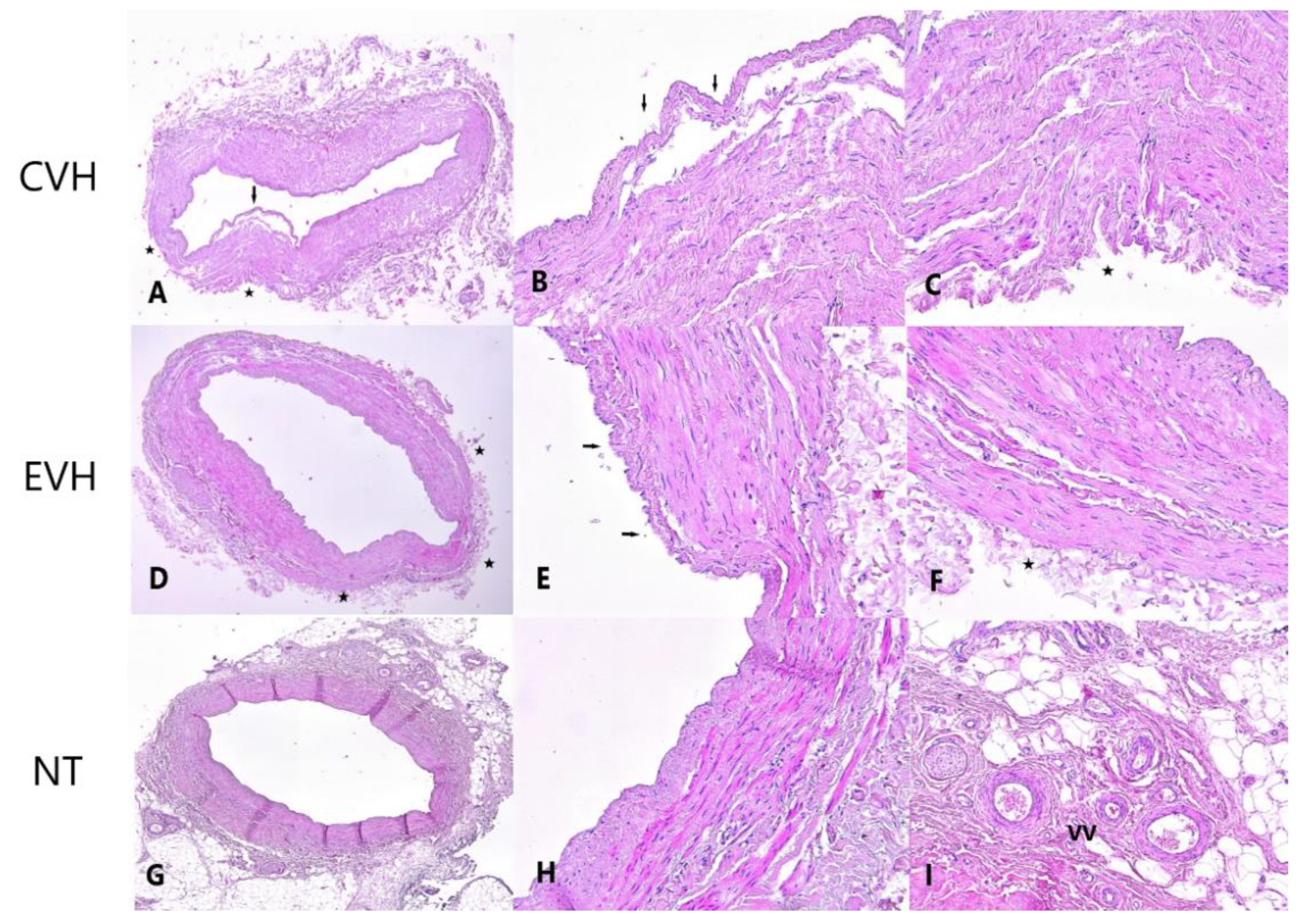 Medicina 59 00217 g002