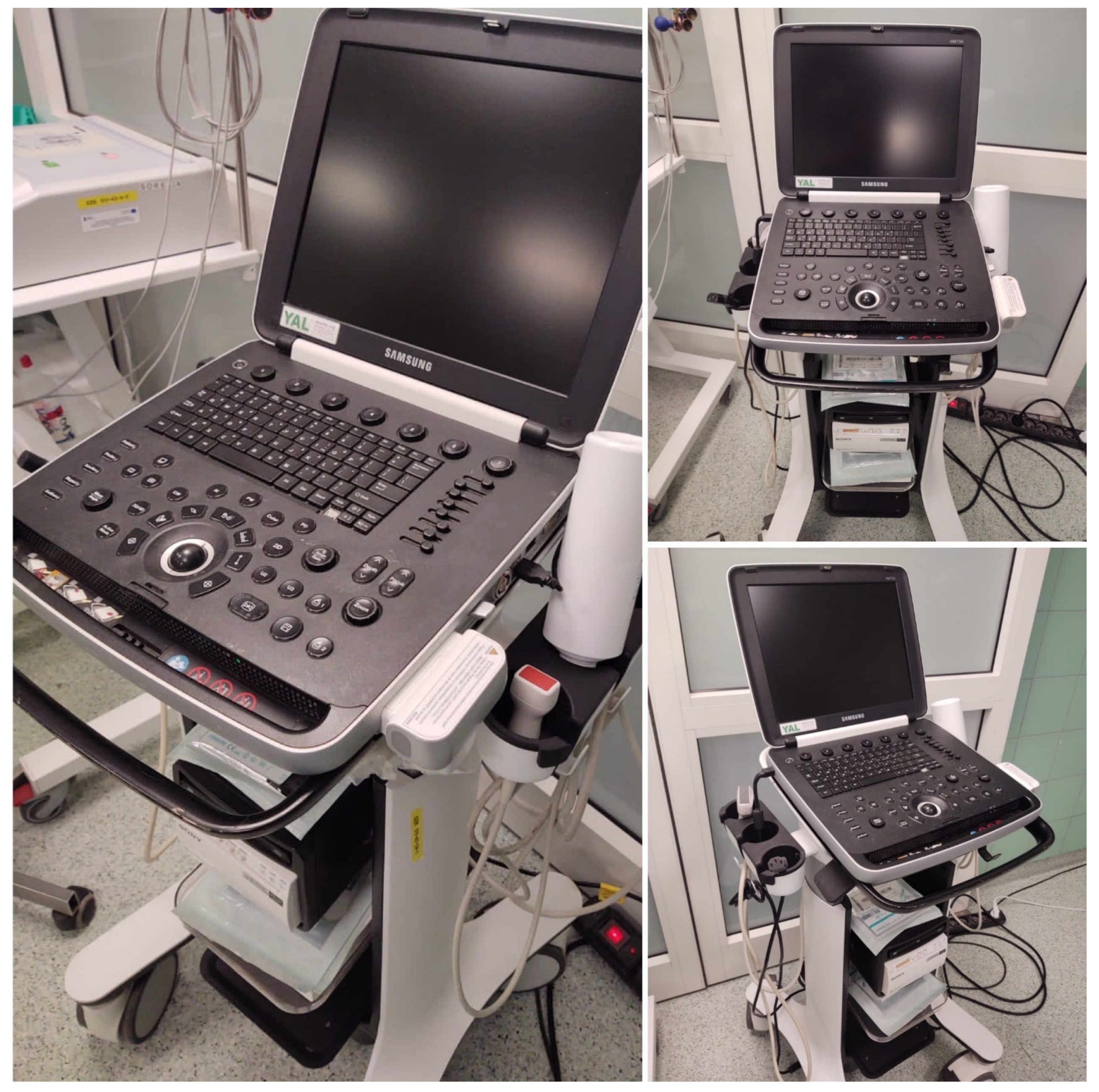 Medicina 59 00224 g001