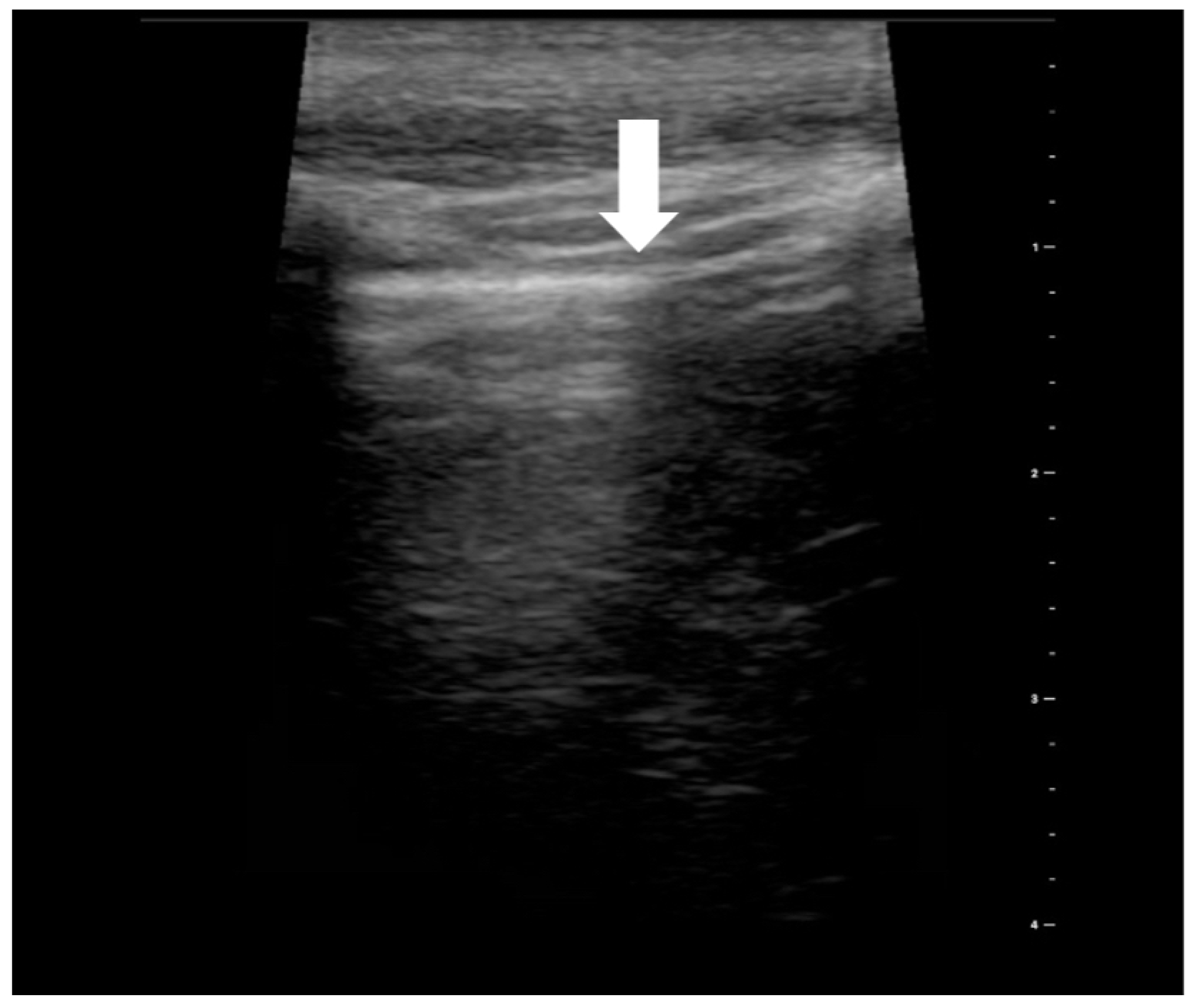 Medicina 59 00224 g007