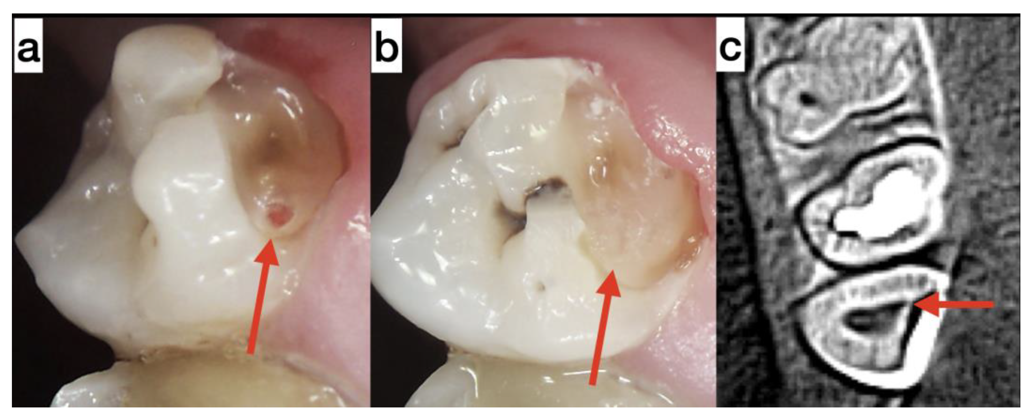 Medicina 59 00225 g003