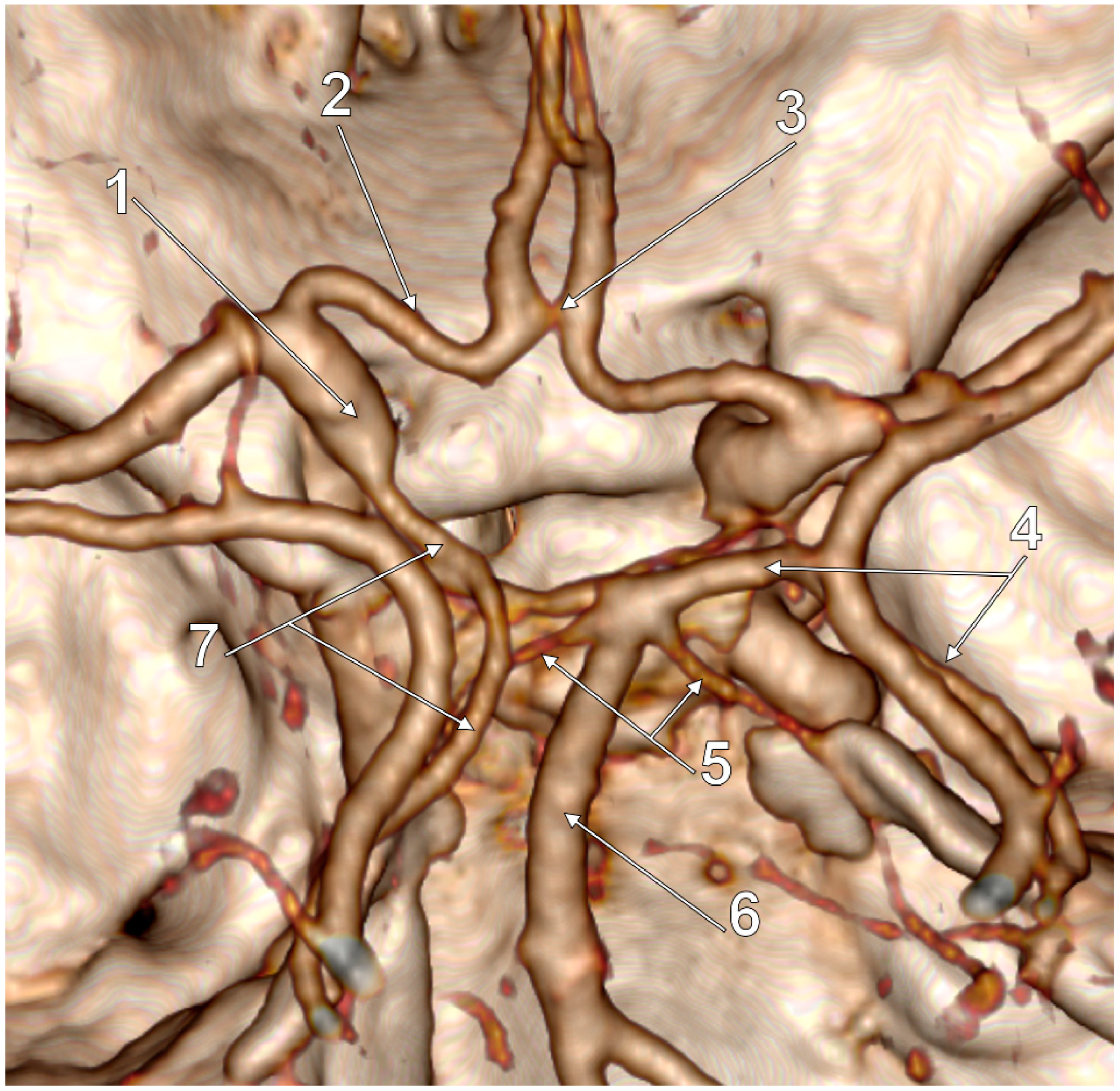Medicina 59 00231 g003 Medicina 59 00231 g003