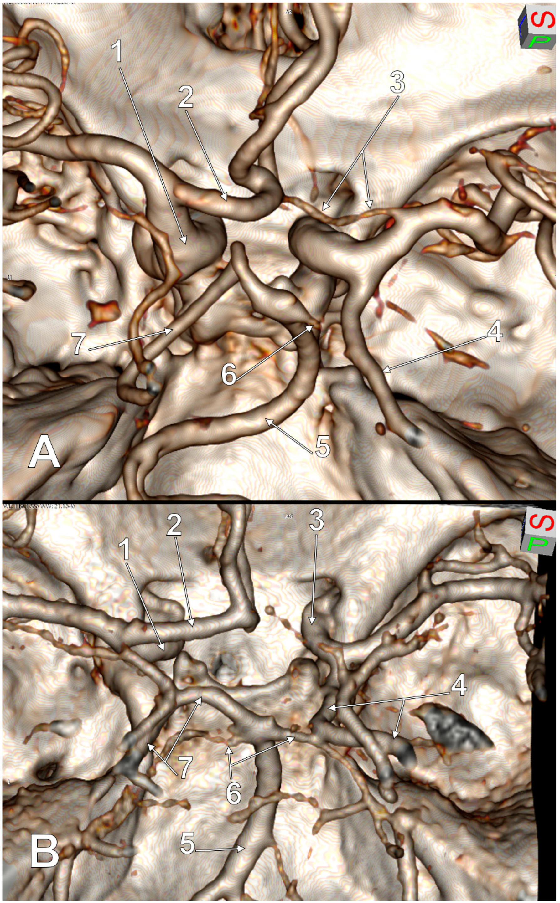 Medicina 59 00231 g006 Medicina 59 00231 g006