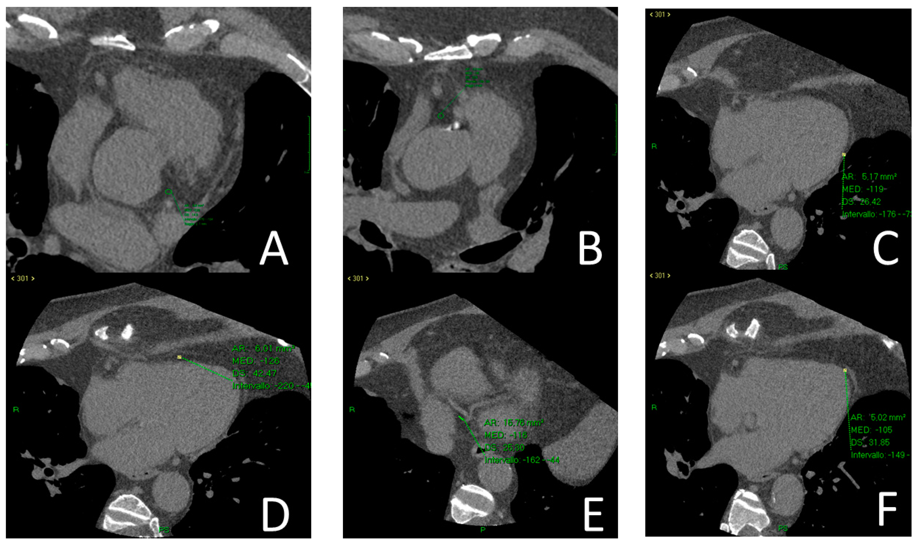 Medicina 59 00232 g001 Medicina 59 00232 g001