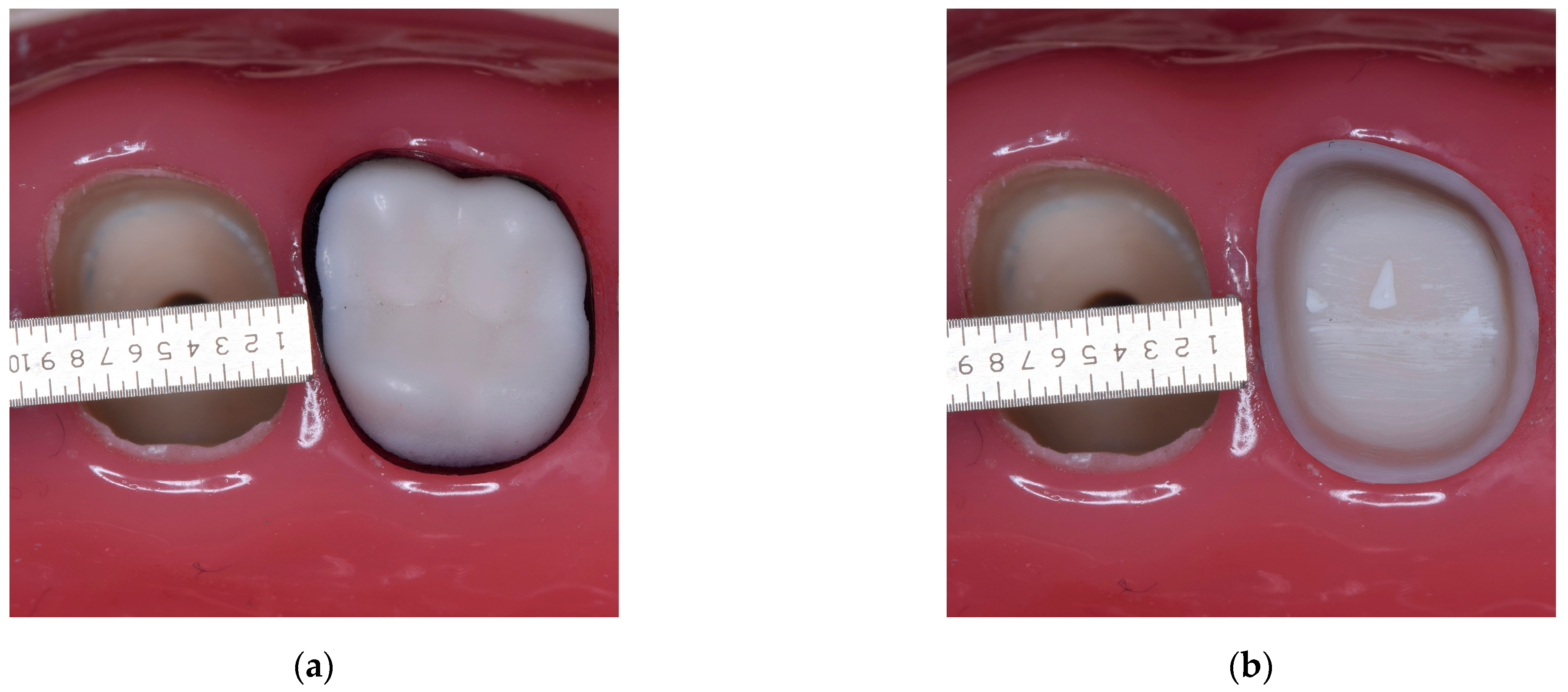 Medicina 59 00244 g001