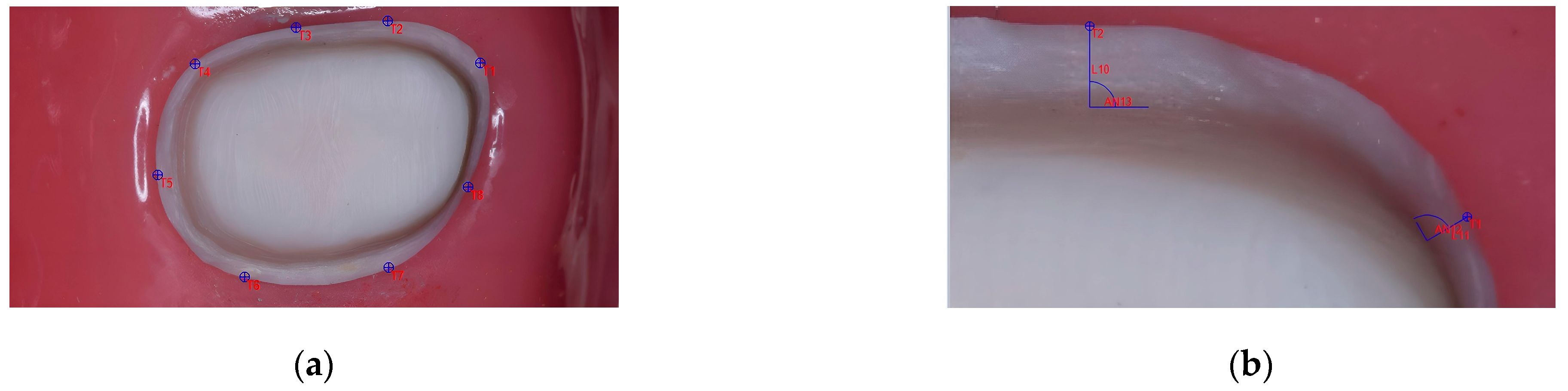 Medicina 59 00244 g002