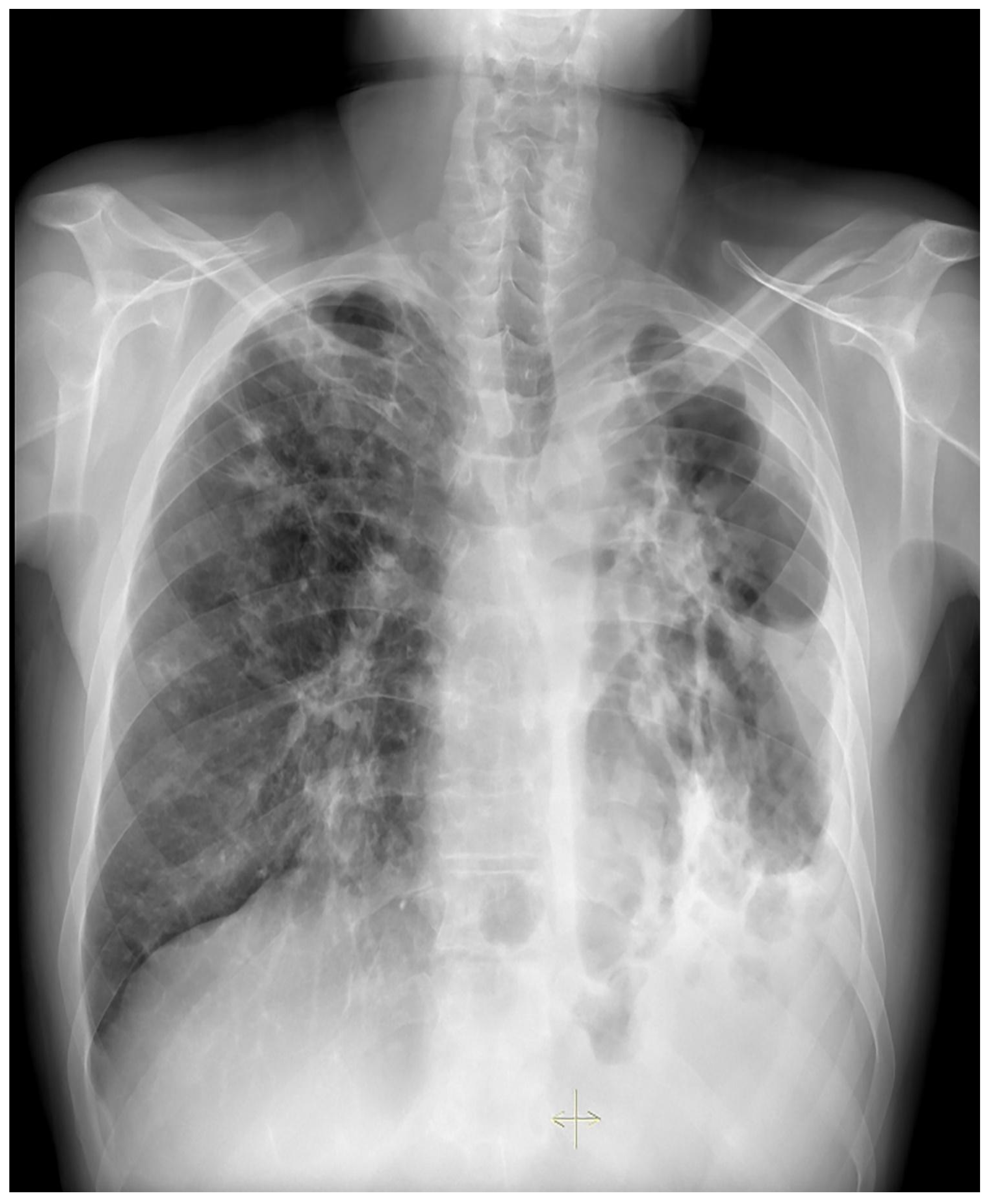 Medicina 59 00246 g001