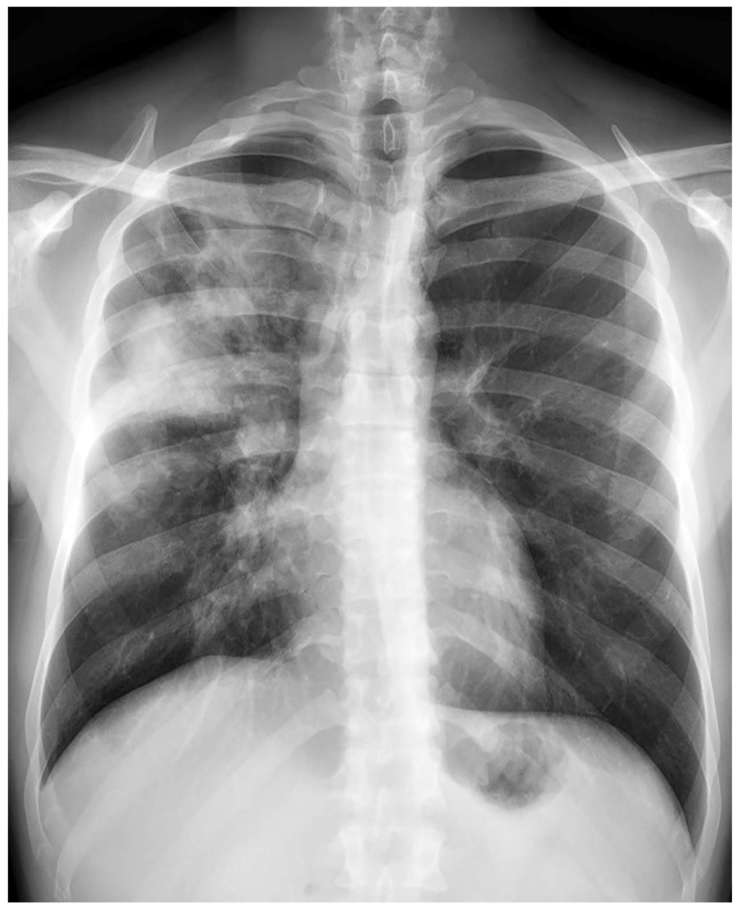 Medicina 59 00246 g003