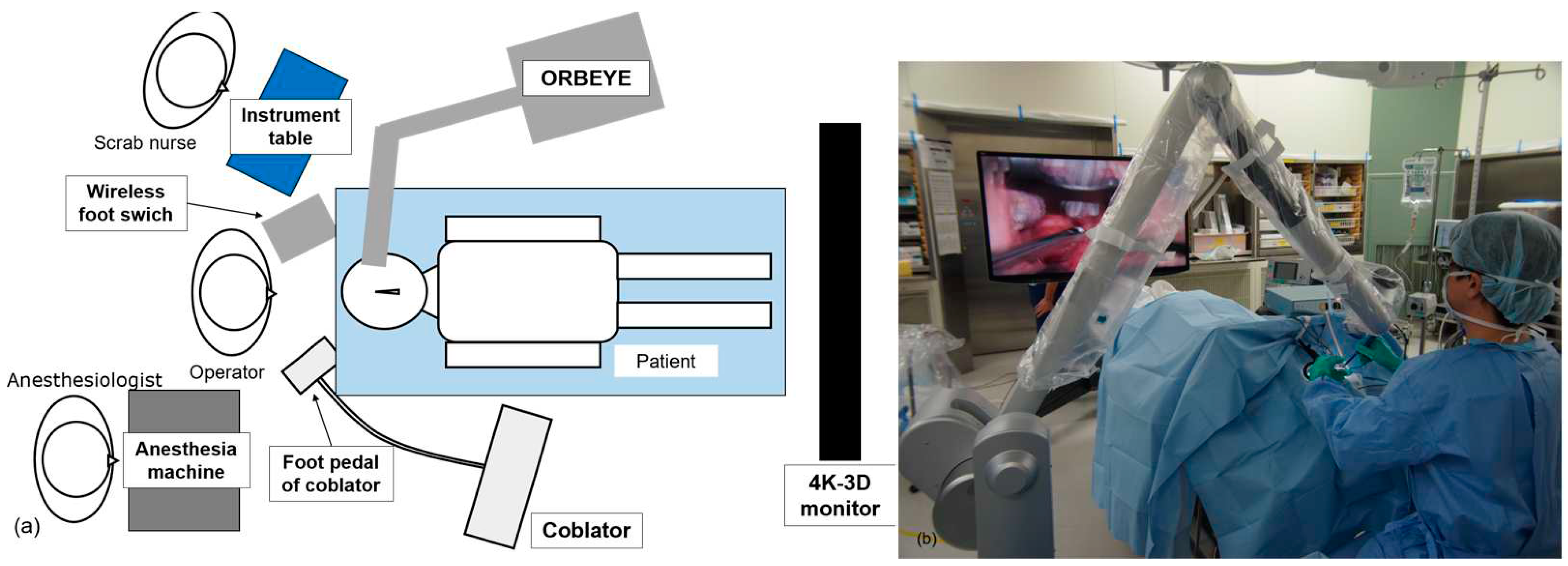 Medicina 59 00259 g001
