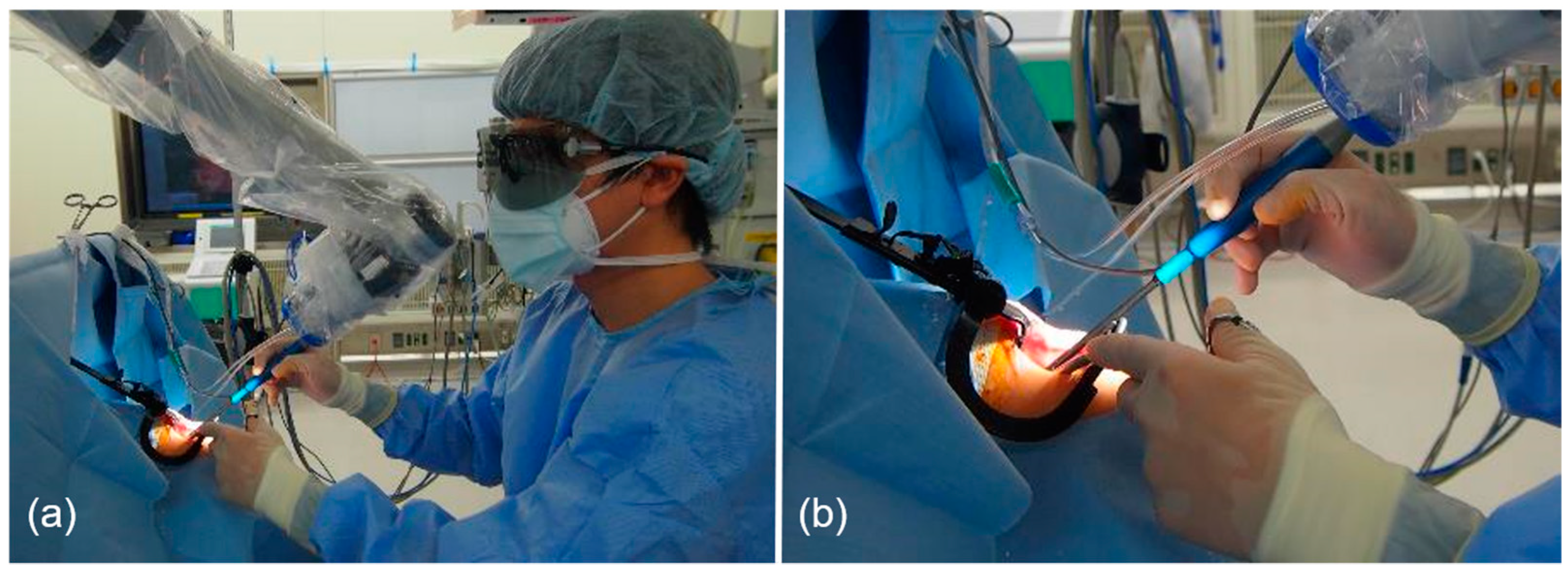 Medicina 59 00259 g003