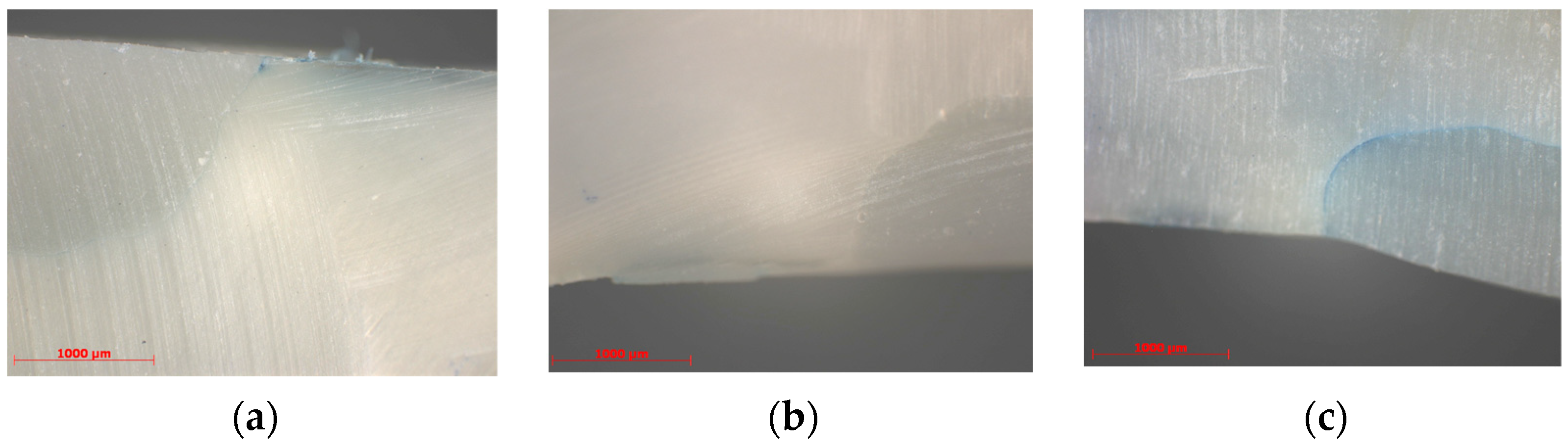 Medicina 59 00278 g001 Medicina 59 00278 g001