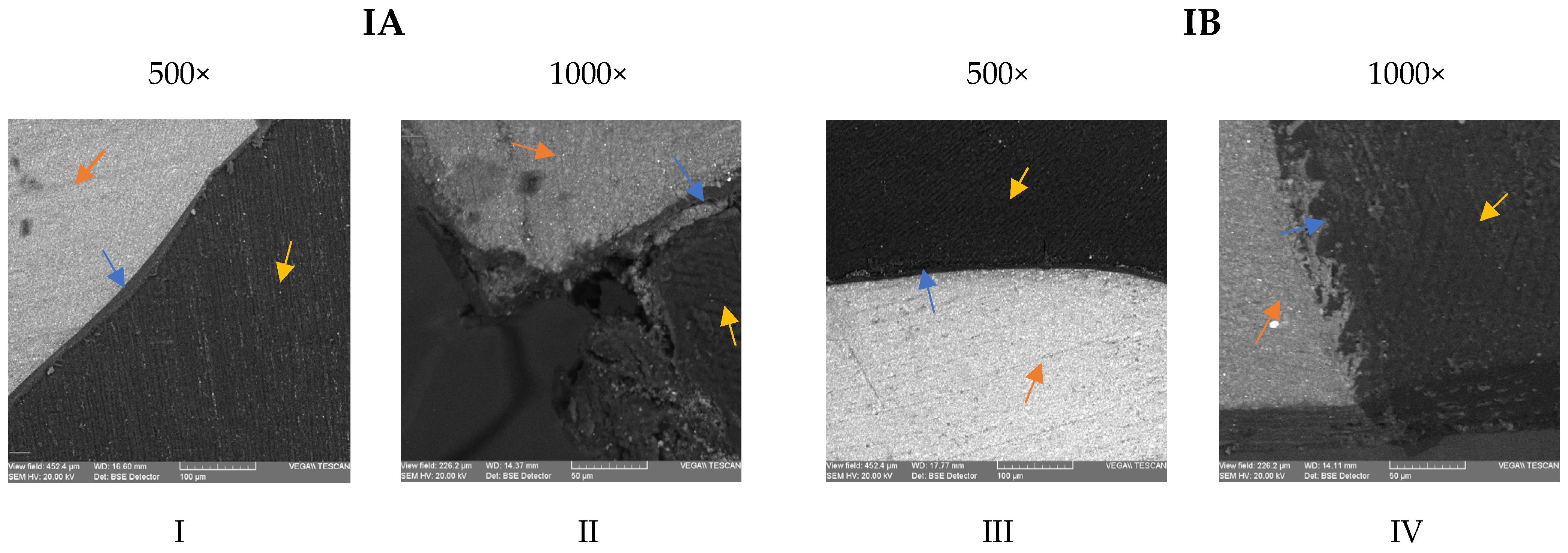 Medicina 59 00278 g003a Medicina 59 00278 g003a