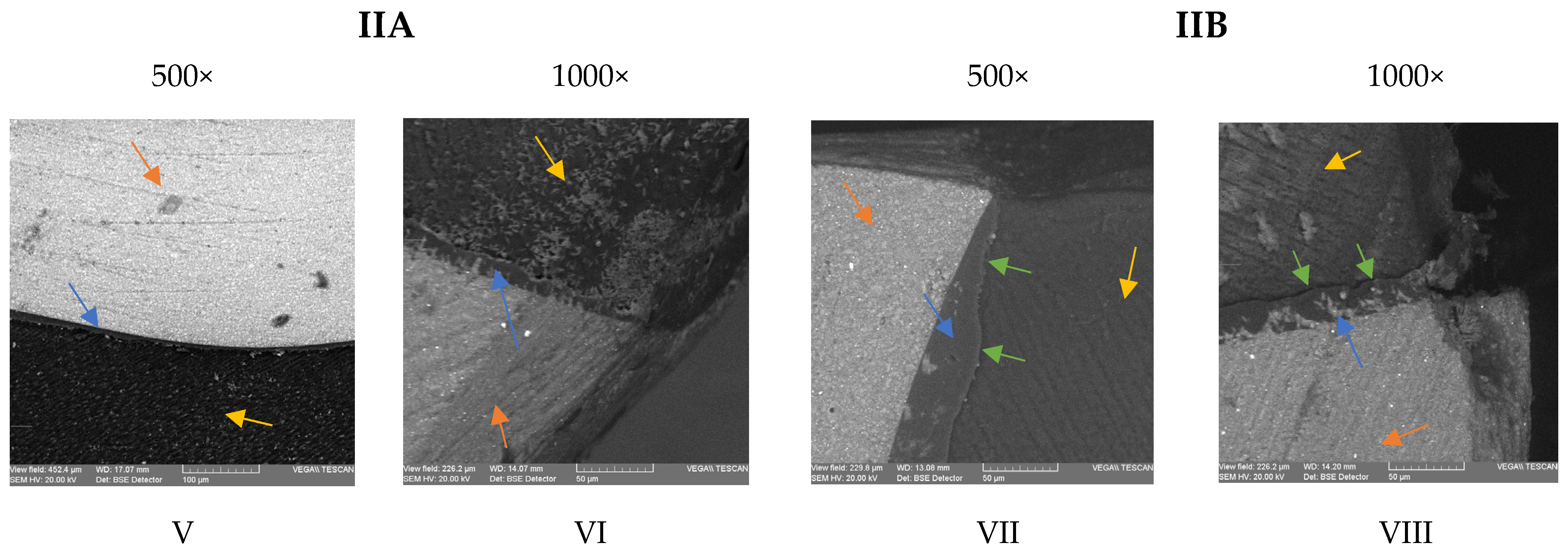 Medicina 59 00278 g003b Medicina 59 00278 g003b