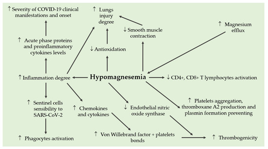 jペイ The Significance of Low Magnesium Levels in COVID-19 Patients