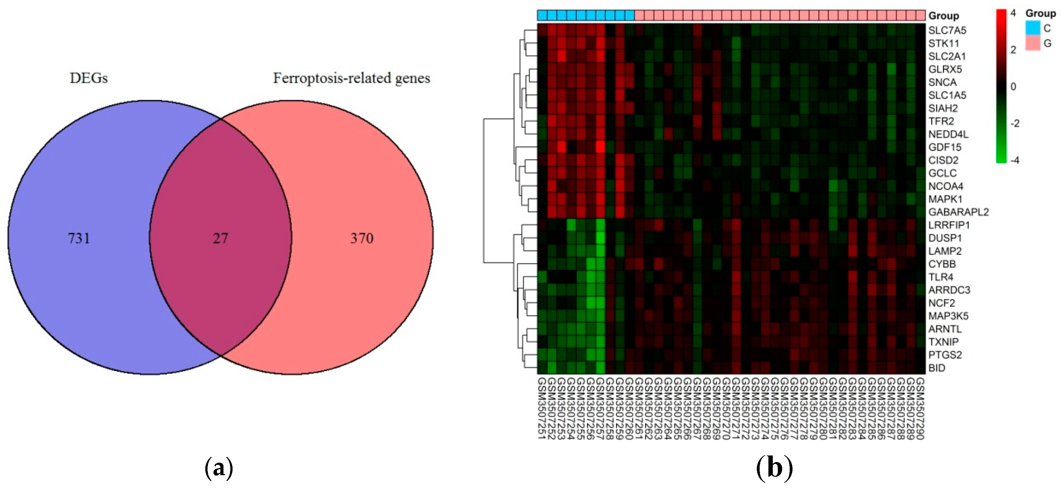 Medicina 59 00297 g001 Medicina 59 00297 g001
